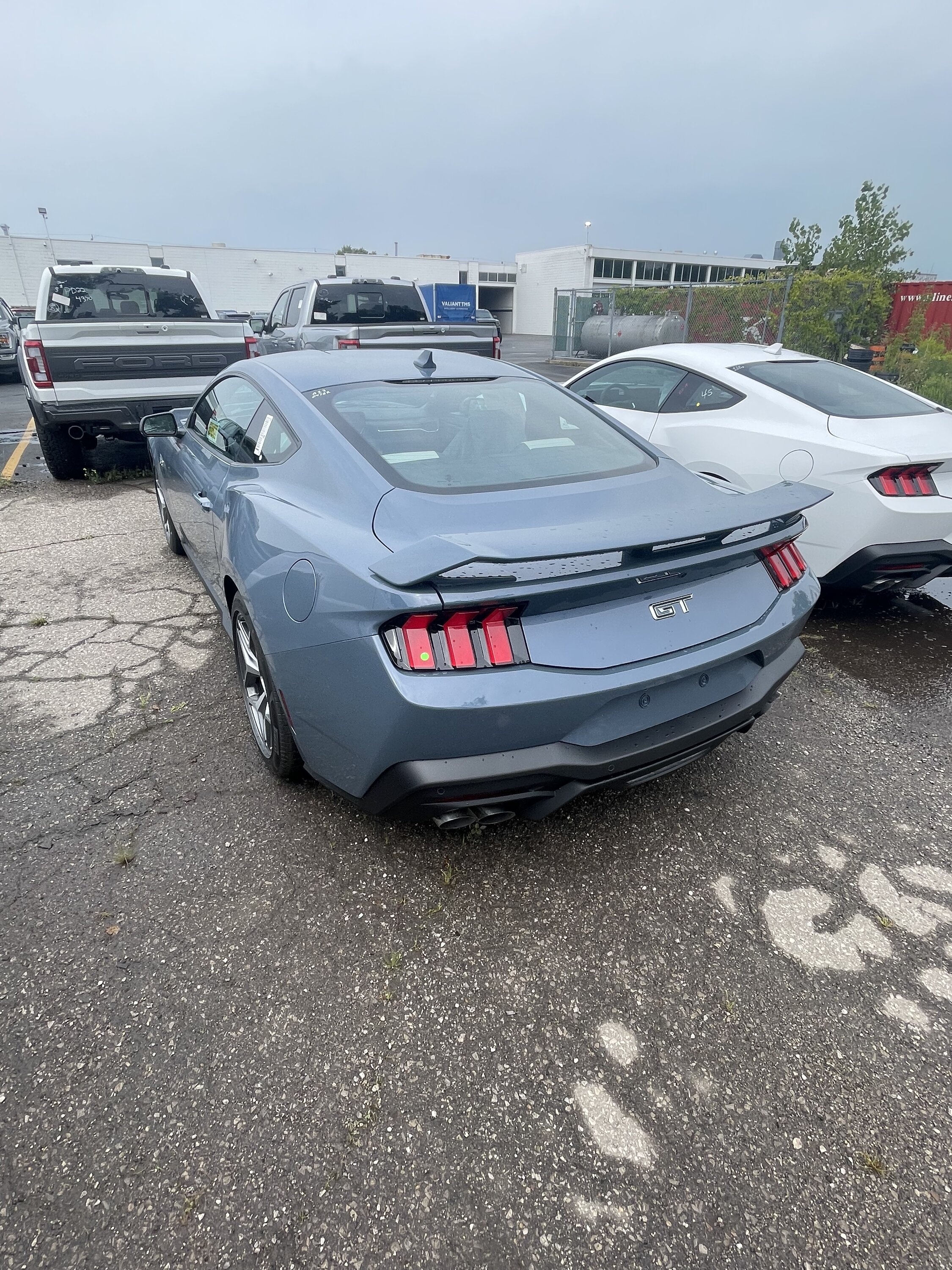 S650 Mustang First 2024 Mustang GT Canadian Order Delivered! 33A2BA70-BD6D-4C93-8156-4887DC9041A8