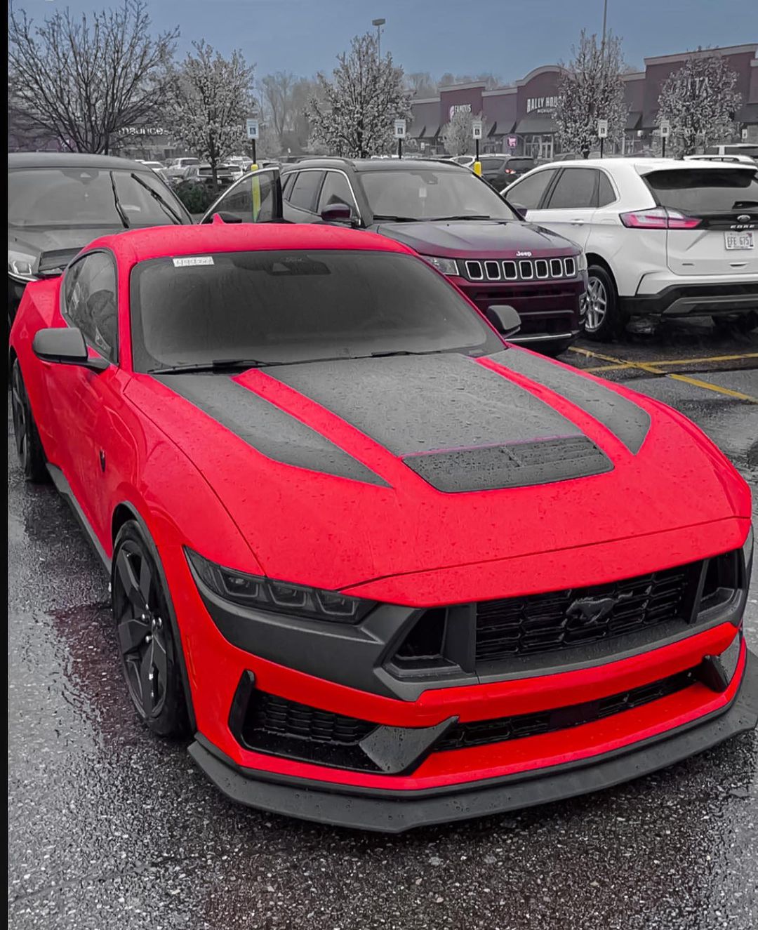 S650 Mustang Official RACE RED Mustang S650 Thread 343930122_574612321317714_7094523731144338502_n