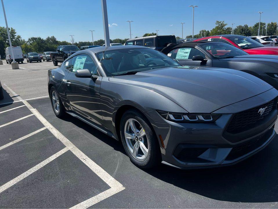 S650 Mustang First 2024 Mustang orders being shipped to dealers now! 367398052_6411963538841566_5327464205672261774_n