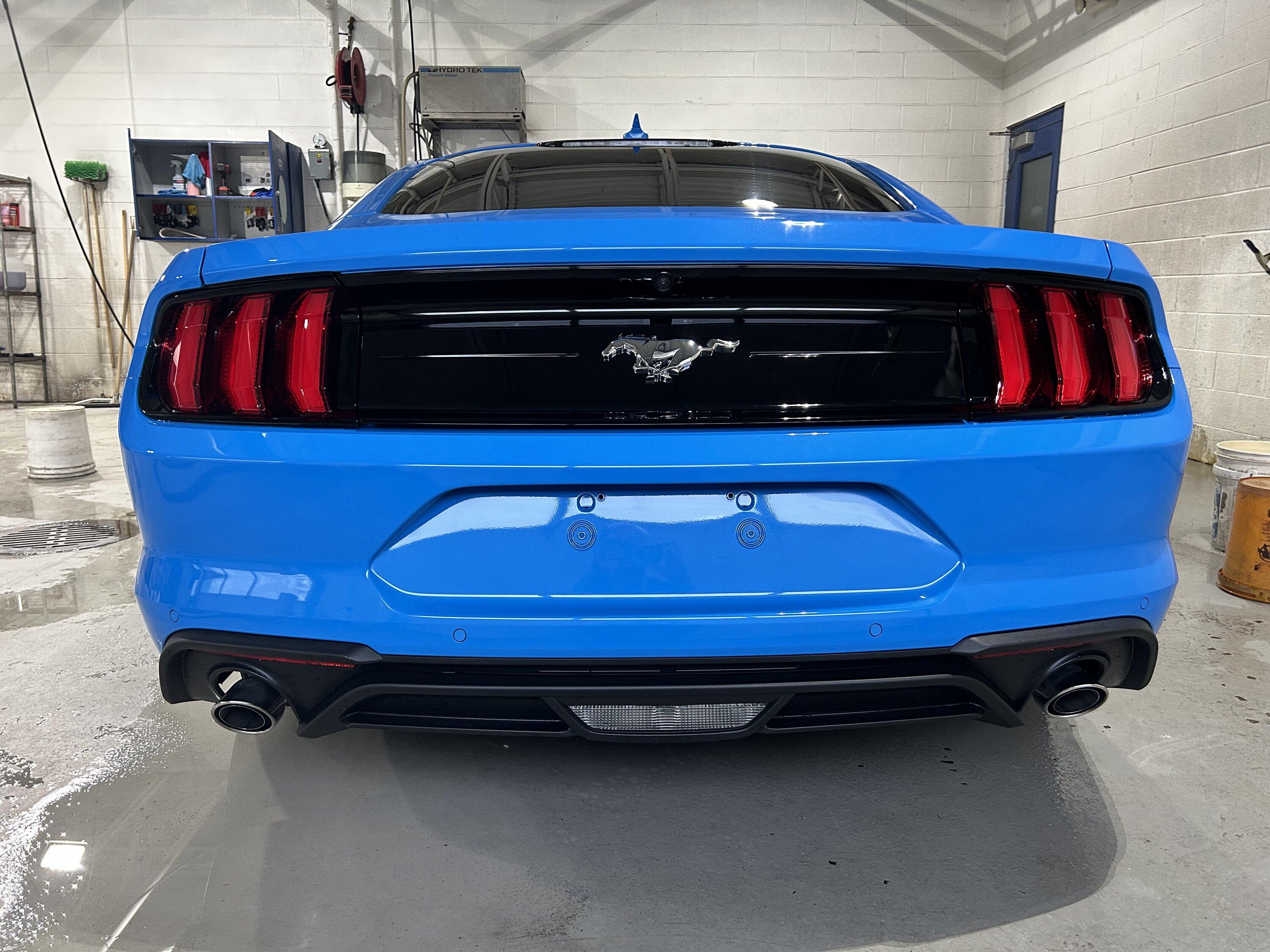 S650 Mustang S650 Mustang vs S550 Mustang side-by-side comparison pics thread 3CFF7823-83E6-4175-8077-5C26DA6D171C