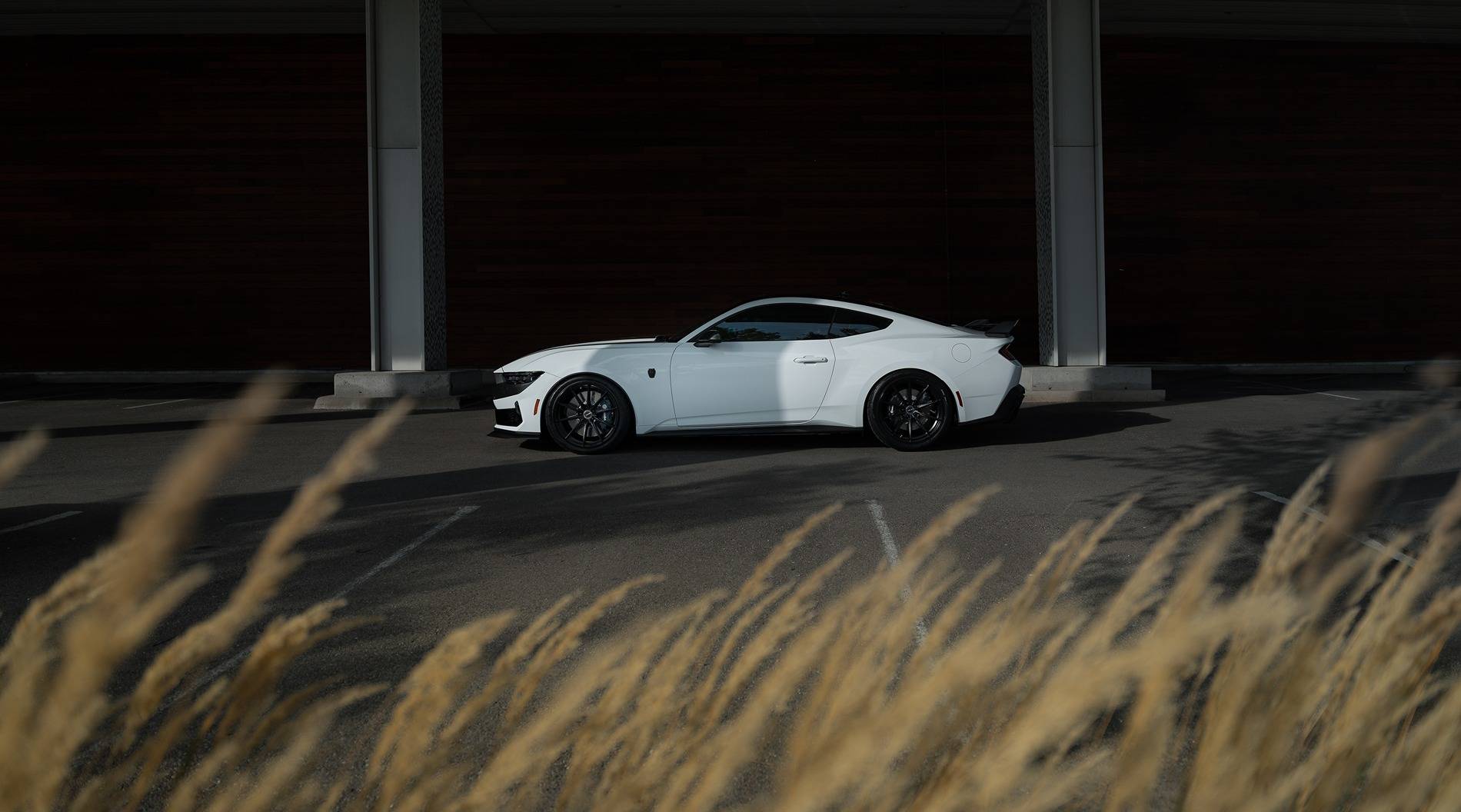 S650 Mustang 2024 Dark Horse Premium "Freyja" (Chassis # 7161) - My Build Journal 4
