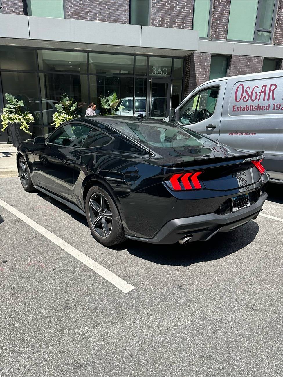 S650 Mustang Story of modifying my first car/mustang 4