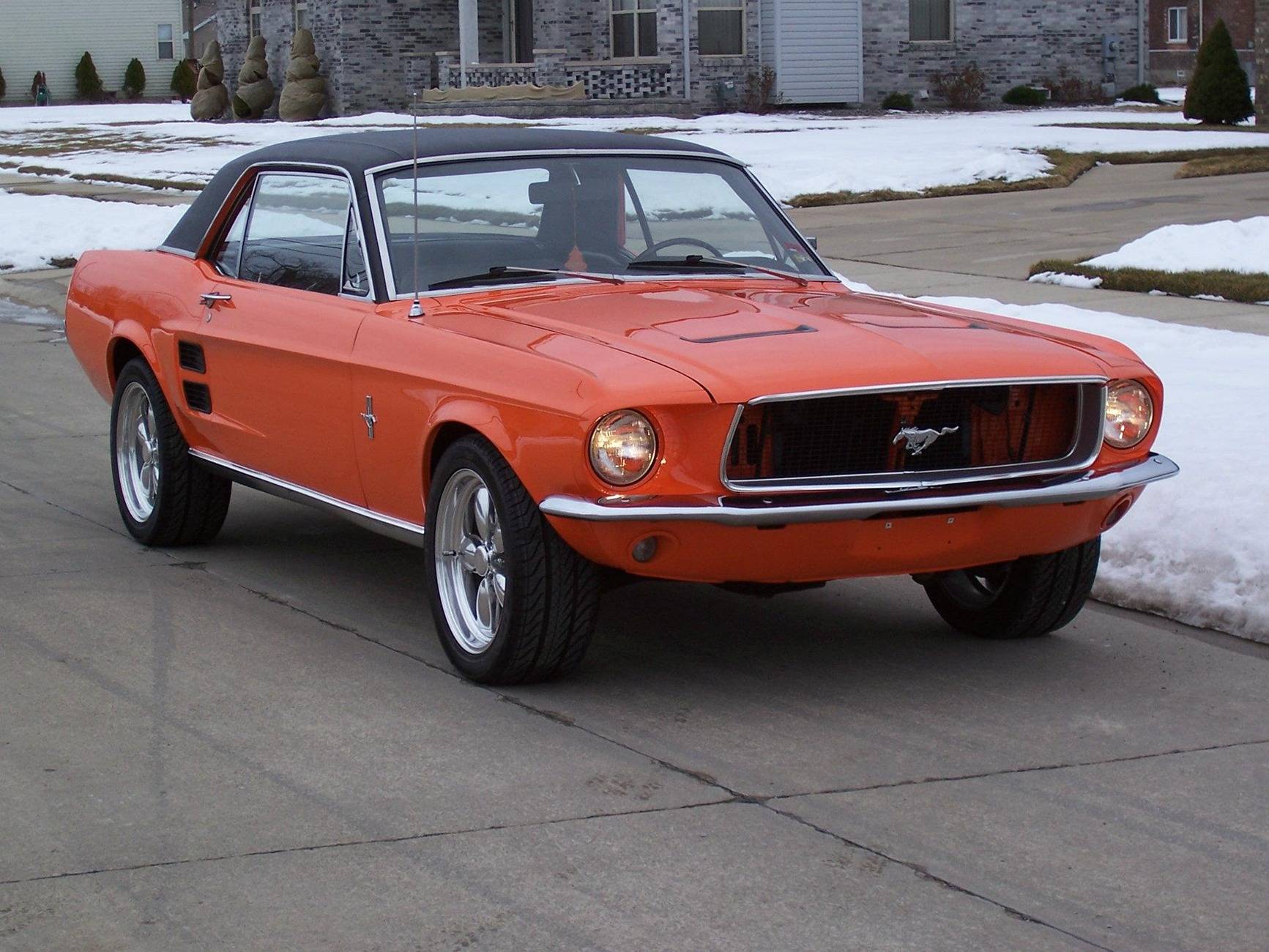 S650 Mustang How many Mustangs have owned? 467562_400076456673265_172609928_o