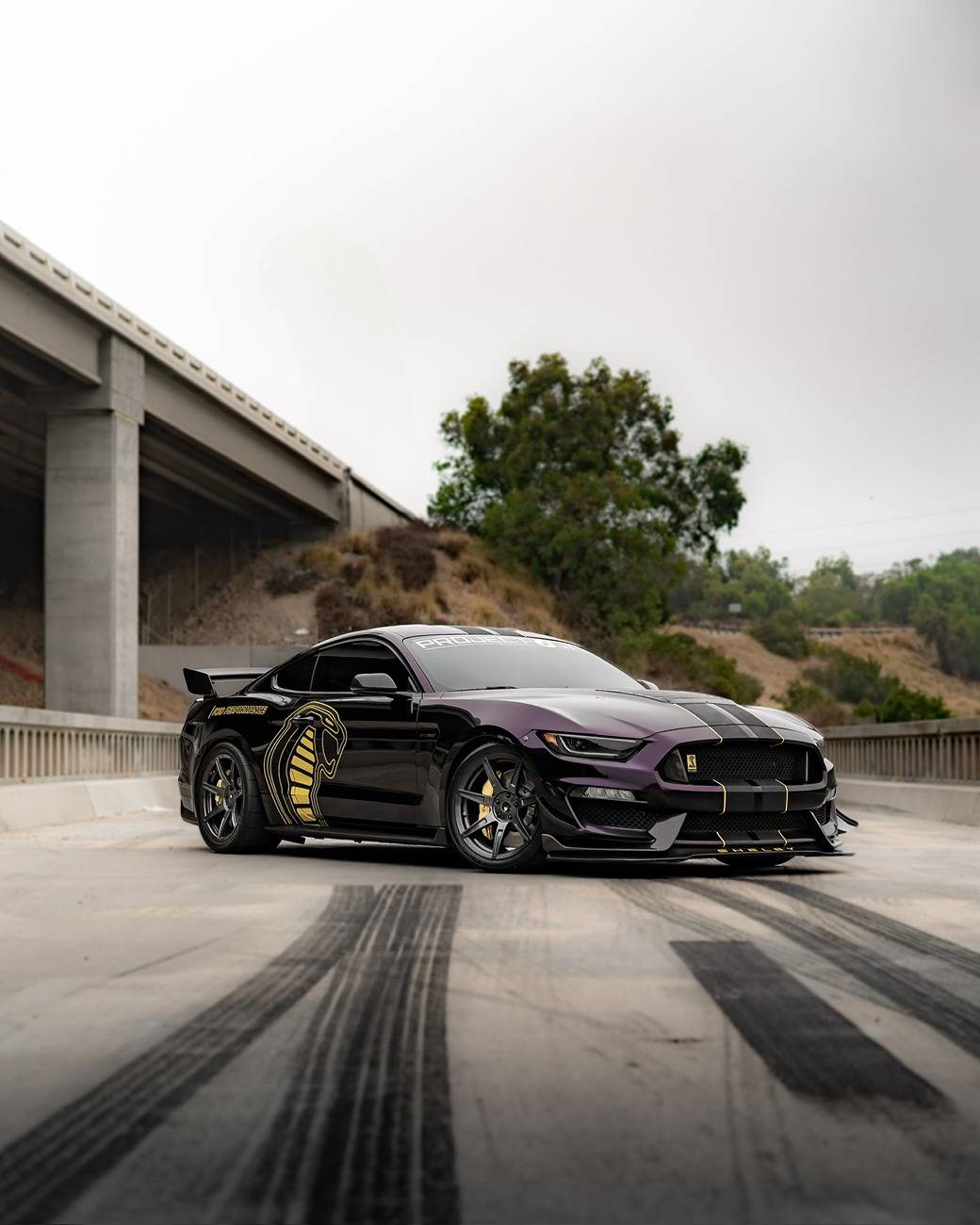 S650 Mustang Official - Project6GR Wheels For Your S650 Mustang And Dark Horse 469719253_18479006782037001_7040154373719528219_n