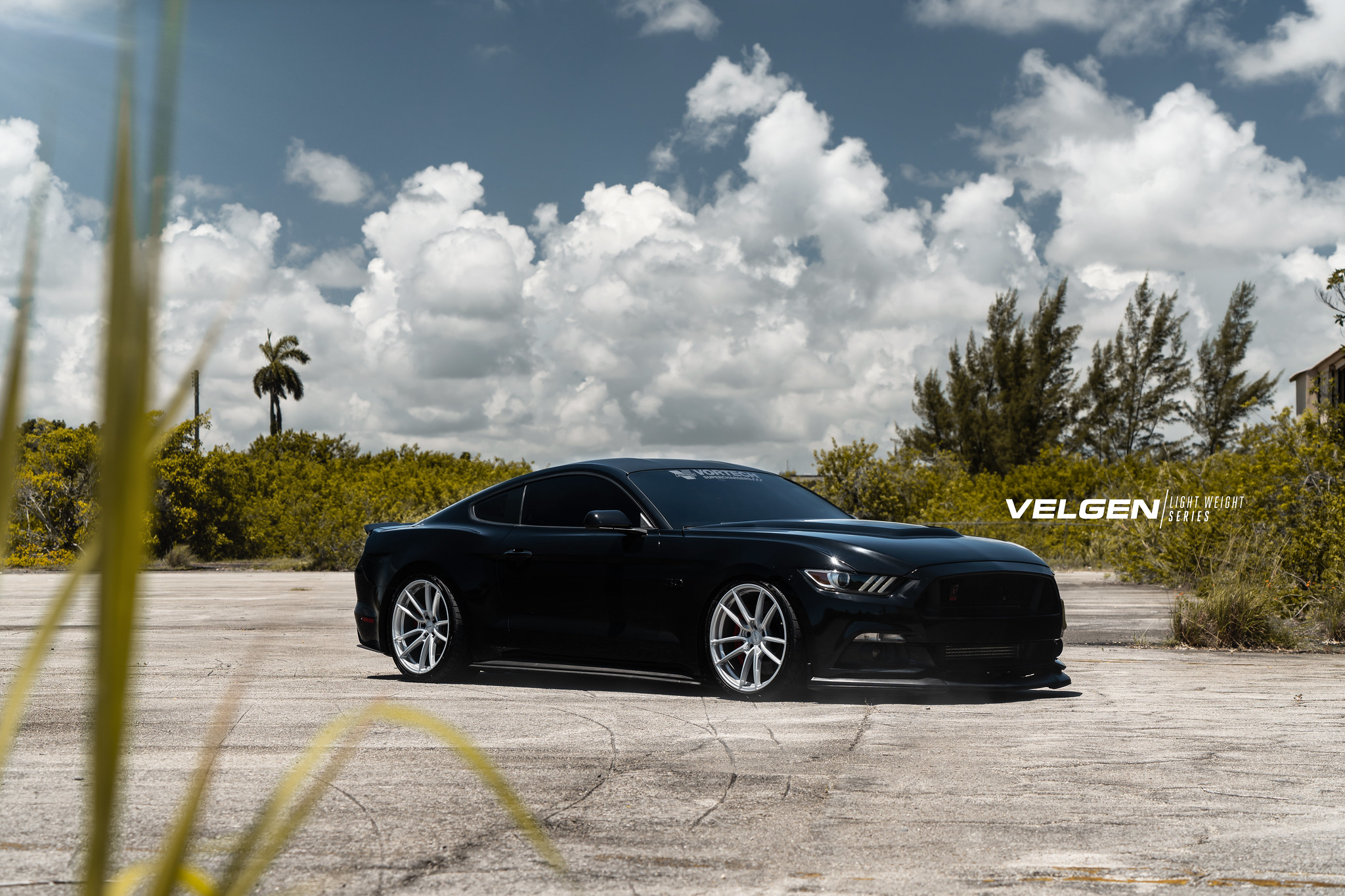 S650 Mustang Velgen wheels for your S650 Mustang | Vibe Motorsports 48350522727_1229d9ee46_k