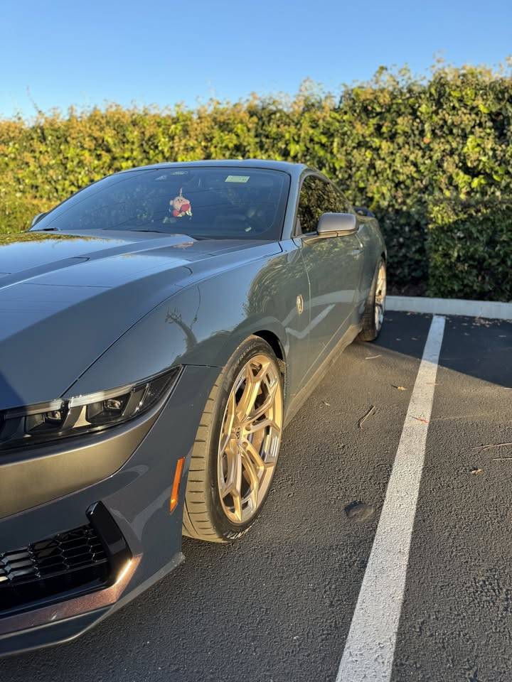 S650 Mustang 2024 Mustang Dark Horse Premium - $65k, Roush Stage 2 Kit, Steeda Sway Bars, BMR IRS Kit, Borla Exhaust 487715410_1214225383653585_7865455733623523140_n