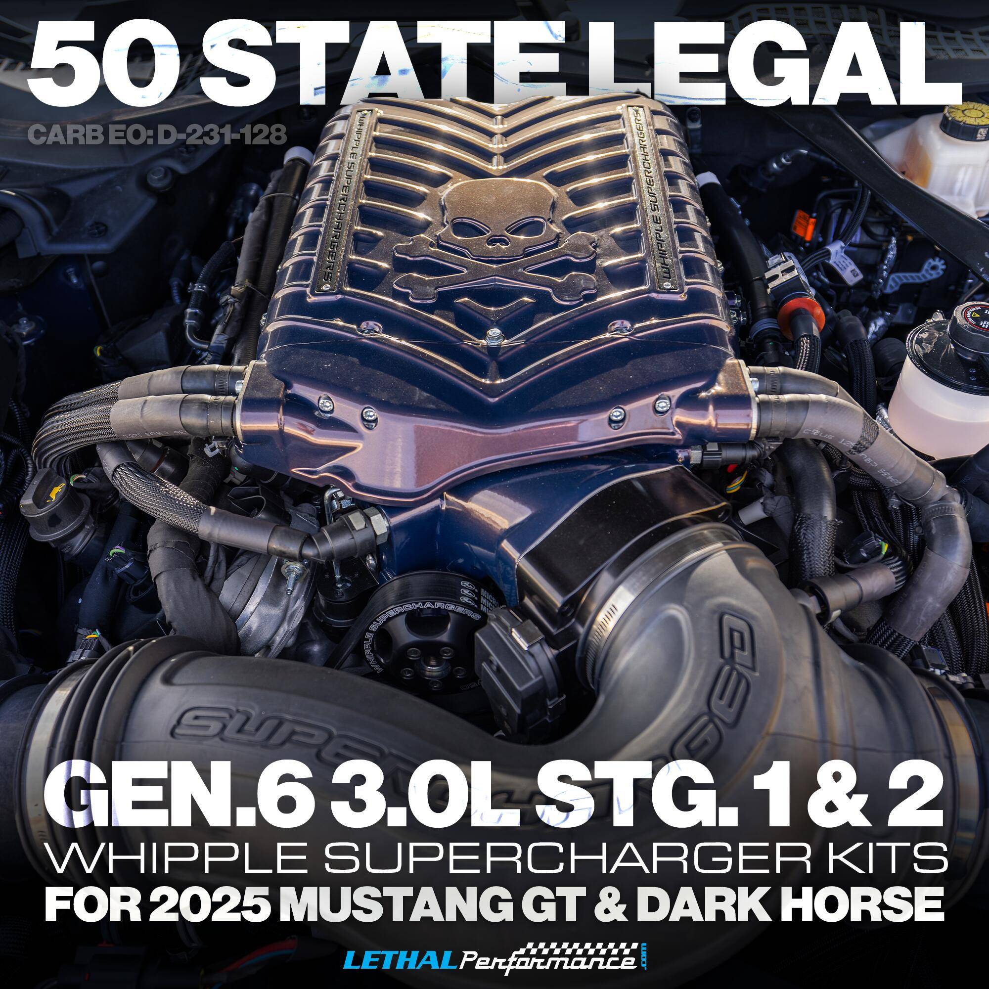 50 state legal 2025 .jpg