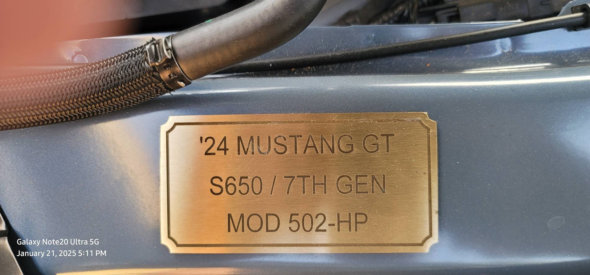 503HP.jpg