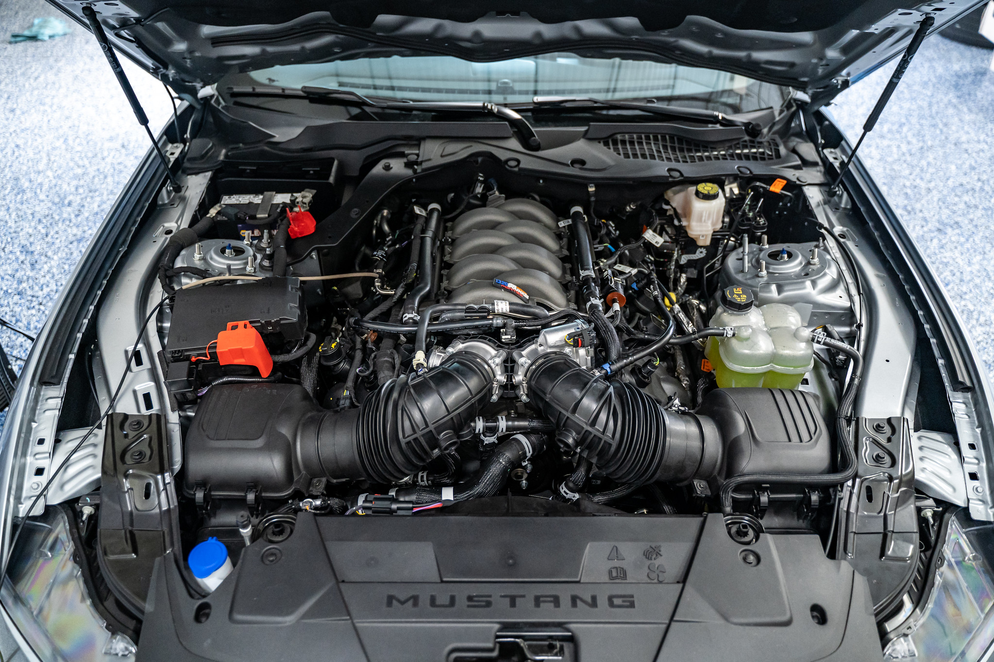 S650 Mustang Steeda 2024 Mustang GT Drag Car Runs 10s - 93 Pump Gas, No Nitrous! 53252330113_52a4ec6f82_k