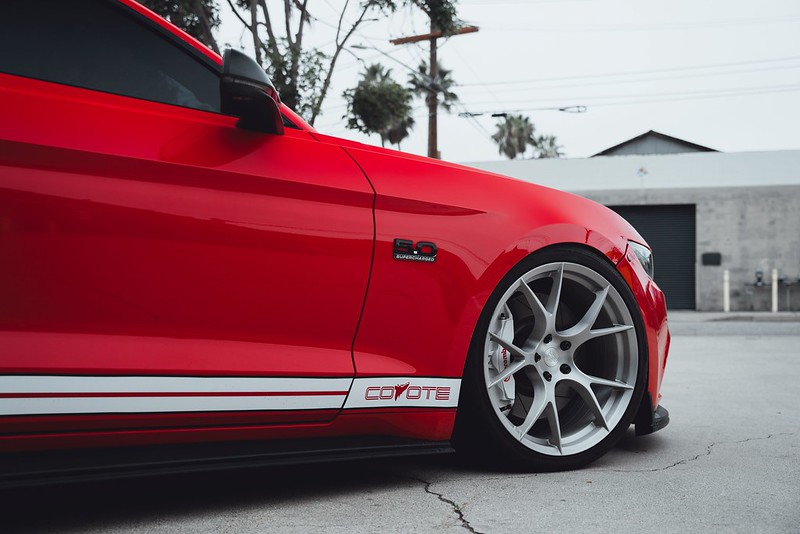 S650 Mustang Official Mustang S650 Aftermarket Wheel & Tire Thread 53360504241_4cf8710e7f_c