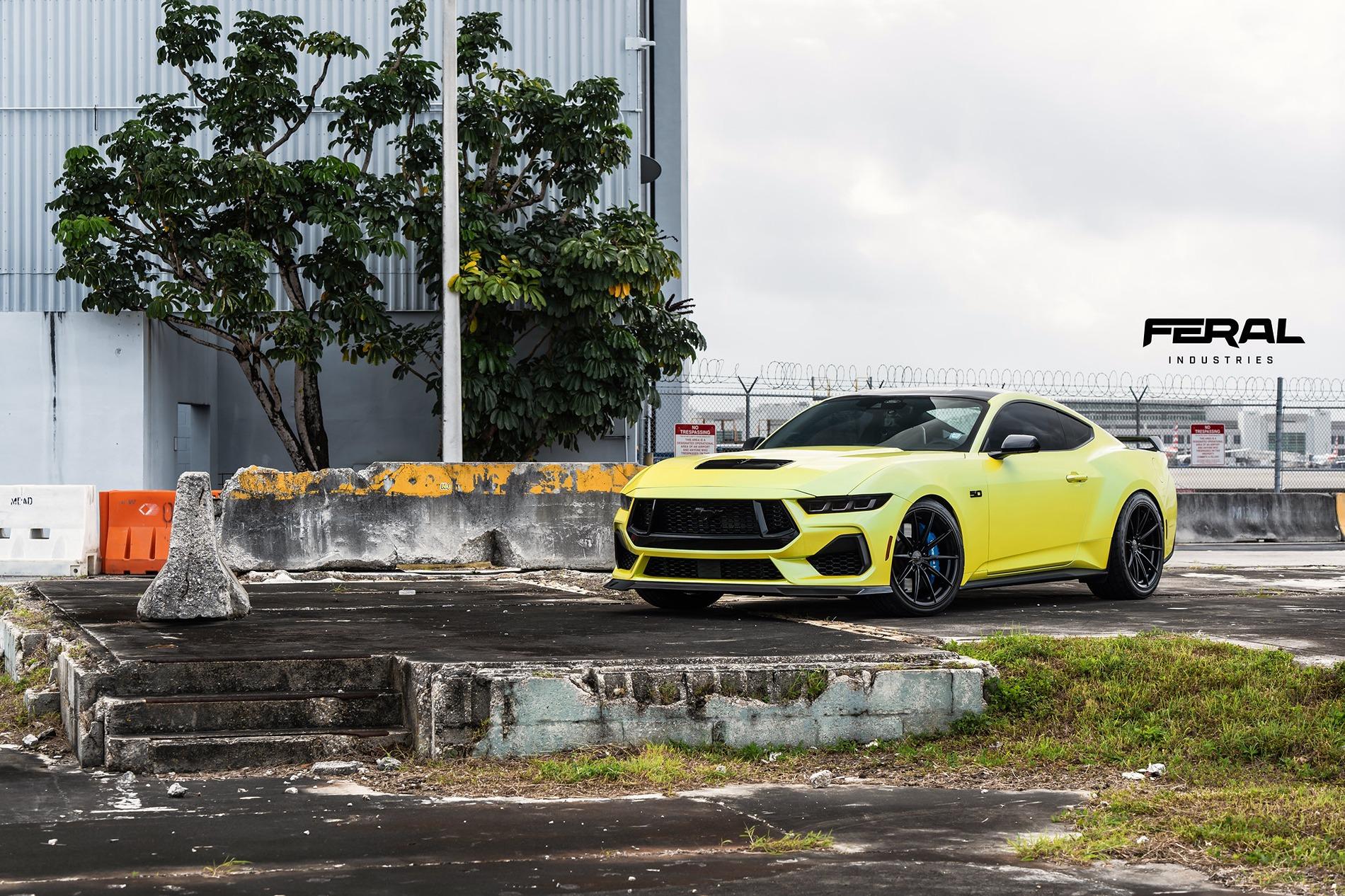 S650 Mustang Feral Industries - Official S650 Mustang Aero 53487054451_56d2027cc5_k