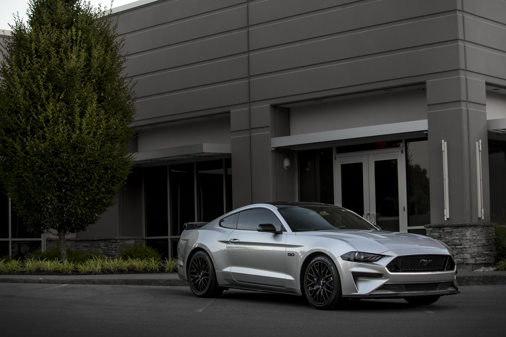 S650 Mustang Rendered Colors for 2024 Mustang (S650) !!!! 5378491A-4CA9-4386-98F2-F456E1FF5DF6