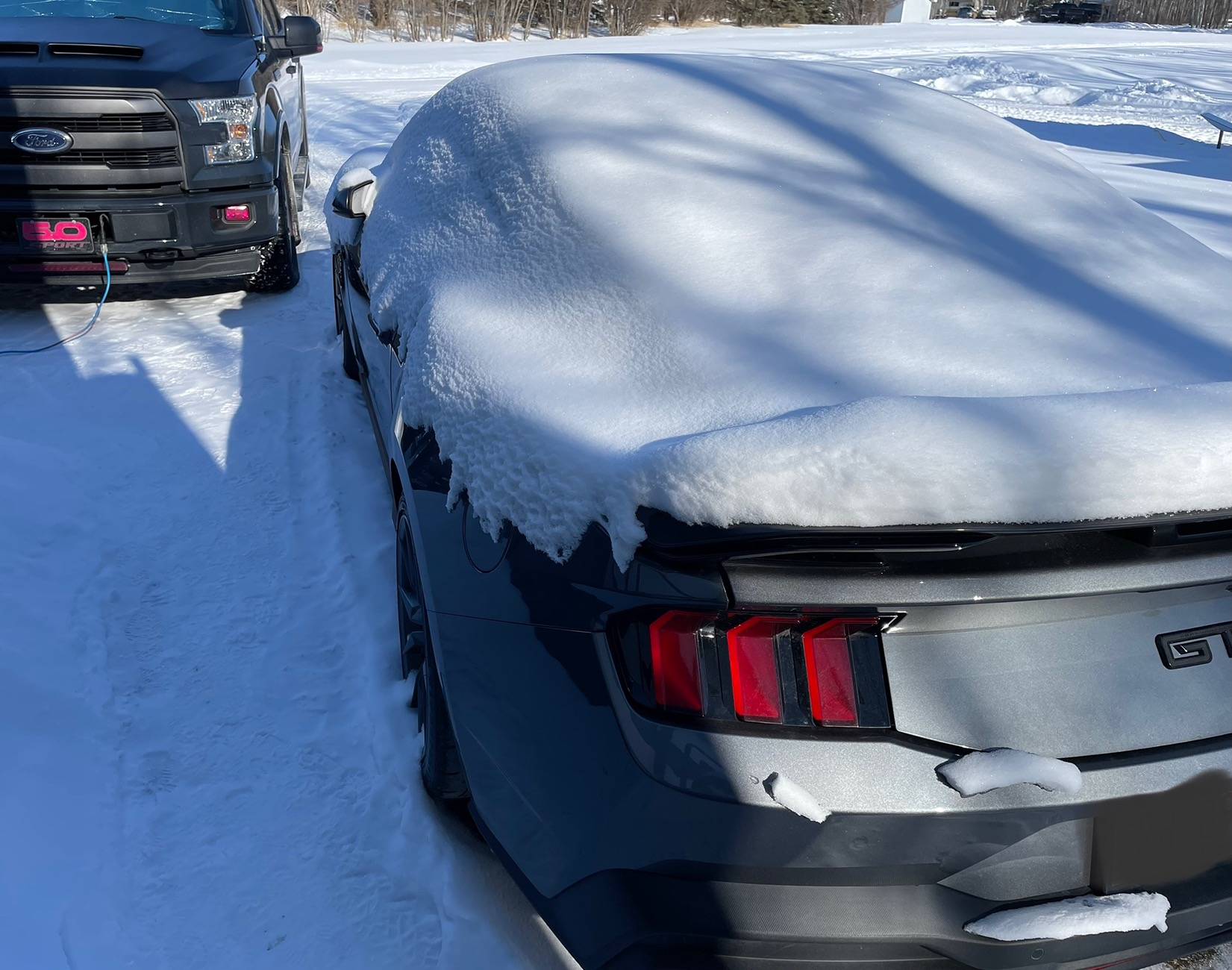 S650 Mustang What did you do to your S650 Mustang today?? 🙋🏻‍♂️ 54C5C850-0A98-43E3-8B3B-8185FA4F8C38