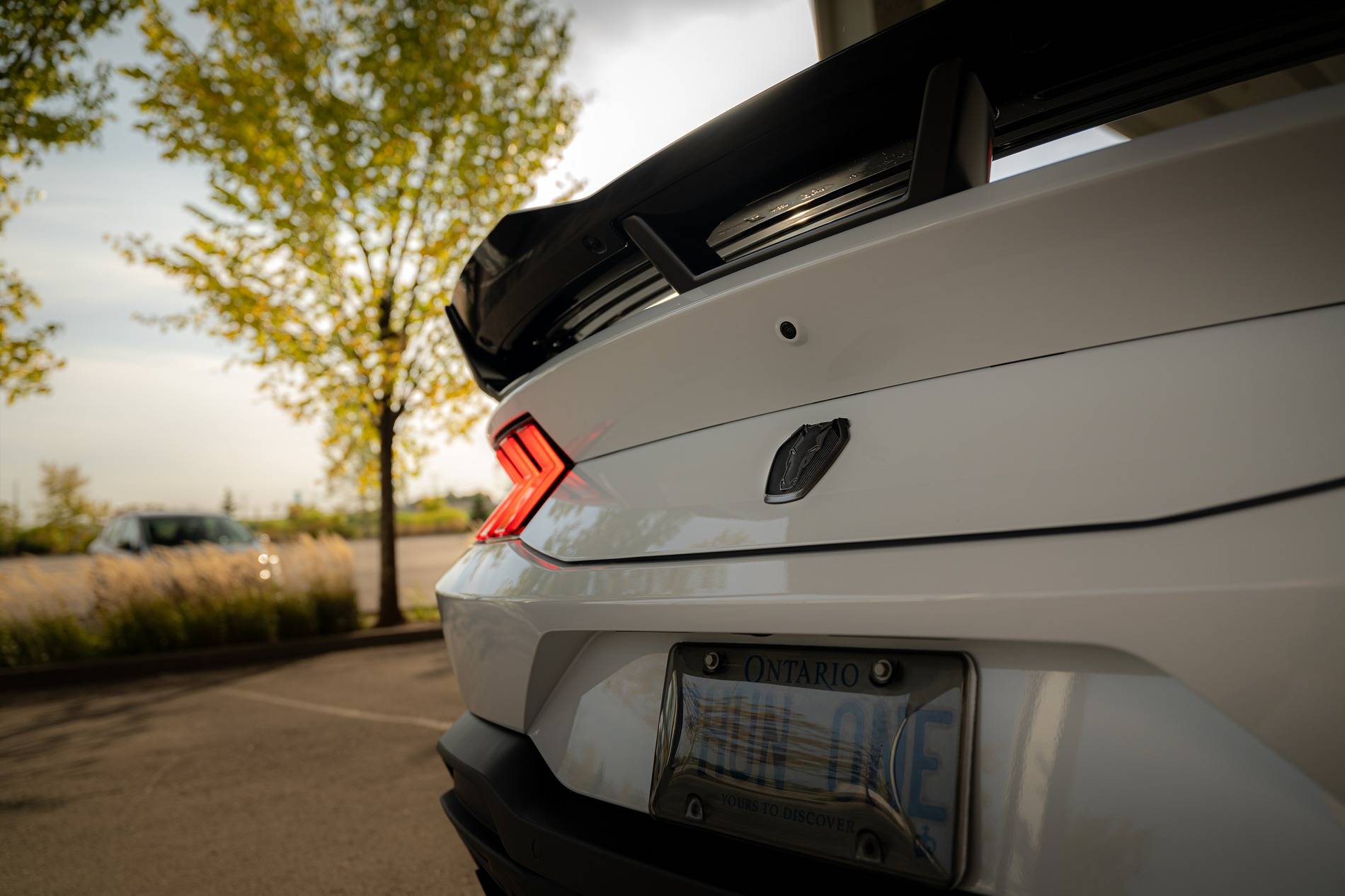 S650 Mustang 2024 Dark Horse Premium "Freyja" (Chassis # 7161) - My Build Journal 6