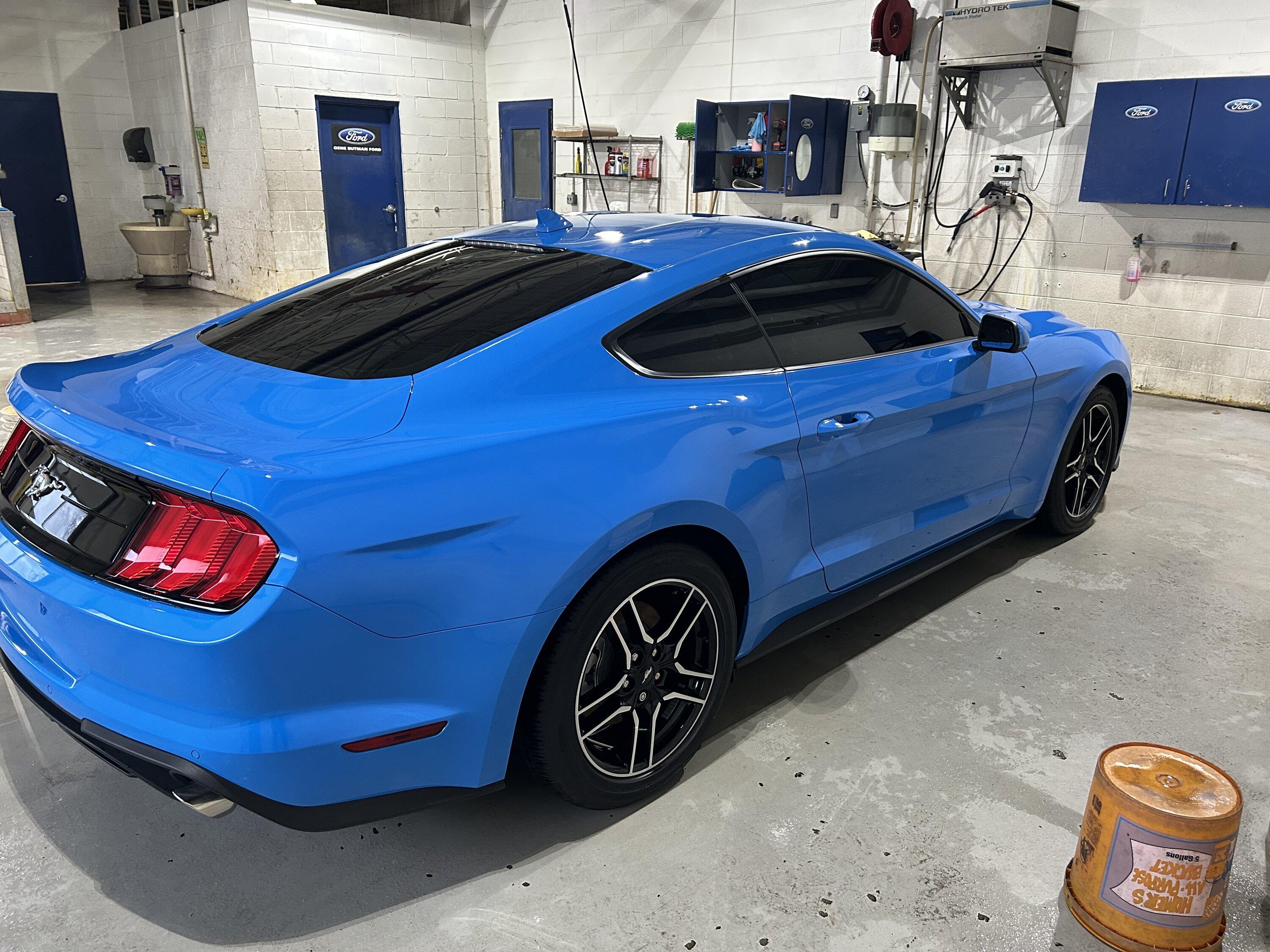 S650 Mustang S650 Mustang vs S550 Mustang side-by-side comparison pics thread 621ADD17-B4E3-404B-83FB-080080D965A5