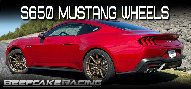 S650 Mustang Flash Sitewide* 10% Off Sale here @ Beefcake Racing!!! 6G*MTY5NTczNDI2NC4xNDMxLjEuMTY5NTczNTcxNS42MC4wLjA