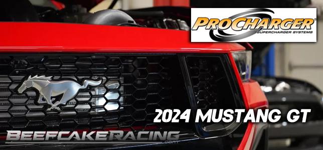 S650 Mustang Beefcake Racing Halloween SALE!!! 6G*MTY5NzQ2NTY3Ni4xNDY1LjEuMTY5NzQ2NjAxMi42MC4wLjA