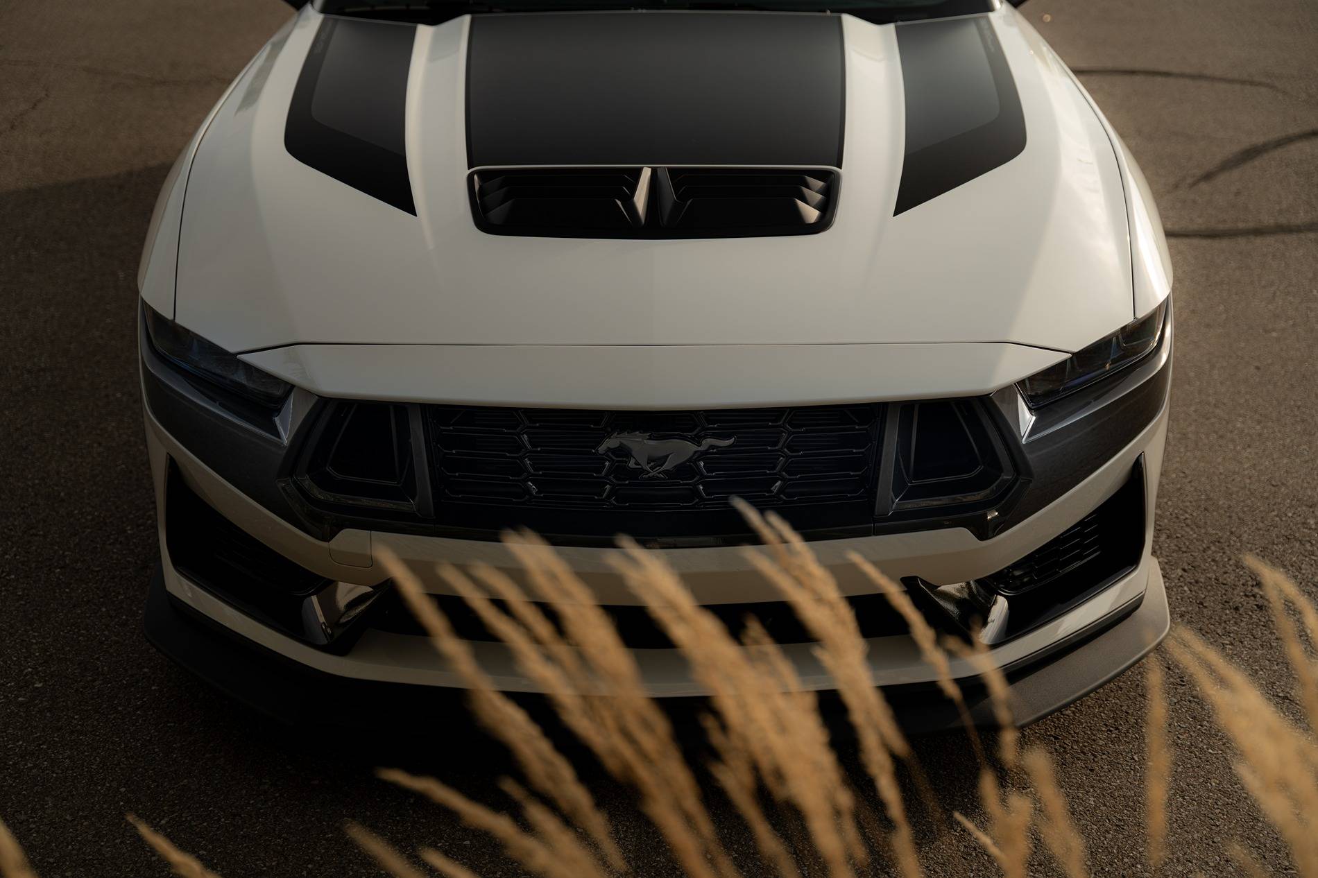 S650 Mustang 2024 Dark Horse Premium "Freyja" (Chassis # 7161) - My Build Journal 7