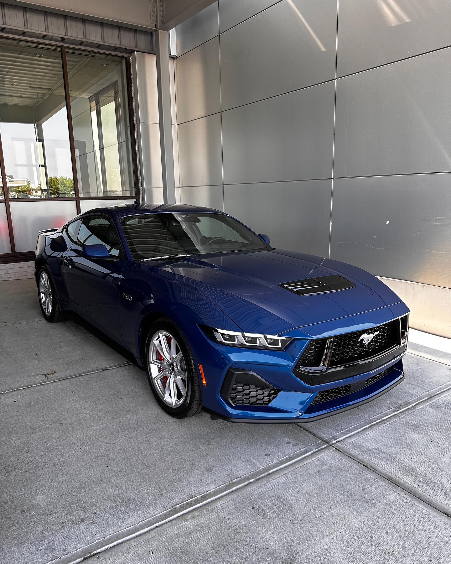 Official ATLAS BLUE Mustang S650 Thread Page 5 Mustang7G 2024