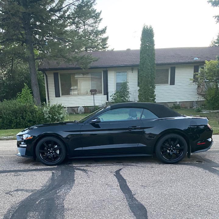 S650 Mustang Post Pictures of Your Car 75158D79-1010-4843-95FB-EE7DE76047A3