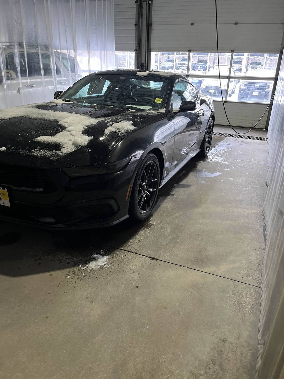 S650 Mustang Australia - 24C35 S650 Recall and Service Action Lookup 76073549989__0DF56B0D-61FD-453D-9DB1-4BE254325770