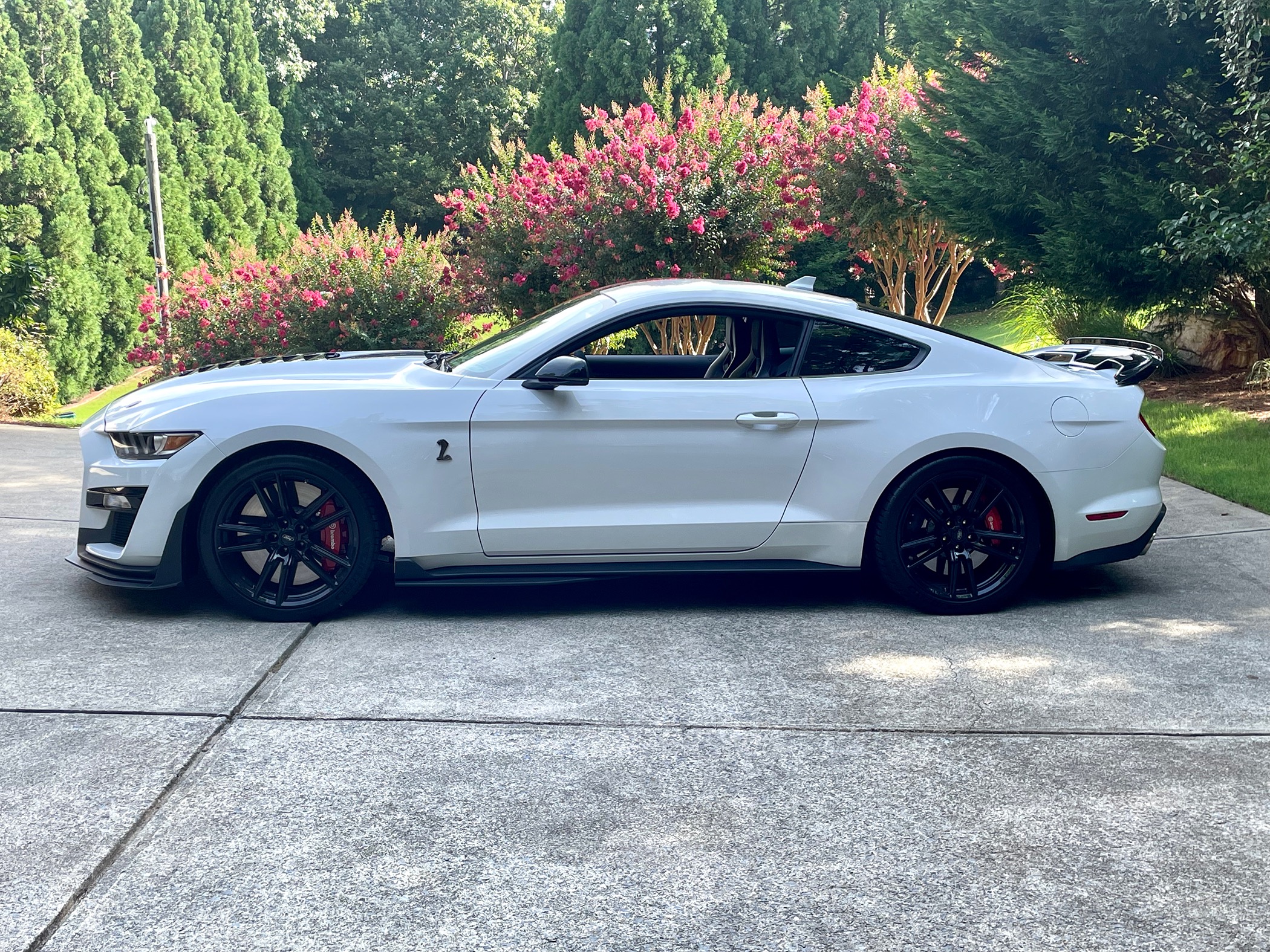 S650 Mustang From This to That S650 (Photos Edition) 763A33C3-2C61-4501-8DD2-18C78CCBE34B