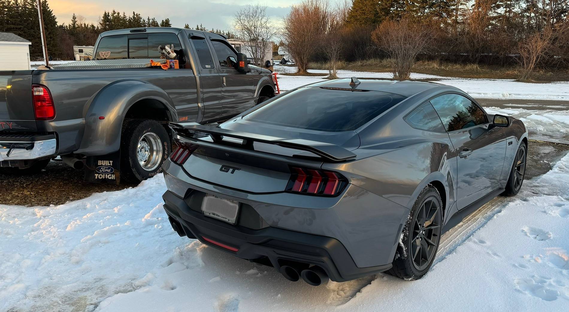 S650 Mustang Cool Daily Random S650 Mustang Pics -- Post Yours! 📸 817B15AD-059E-43A3-811D-836AC23B2885