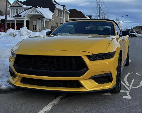 S650 Mustang Official YELLOW SPLASH Mustang S650 Thread 855AAA83-11A5-4126-83B9-C7F0170327BA