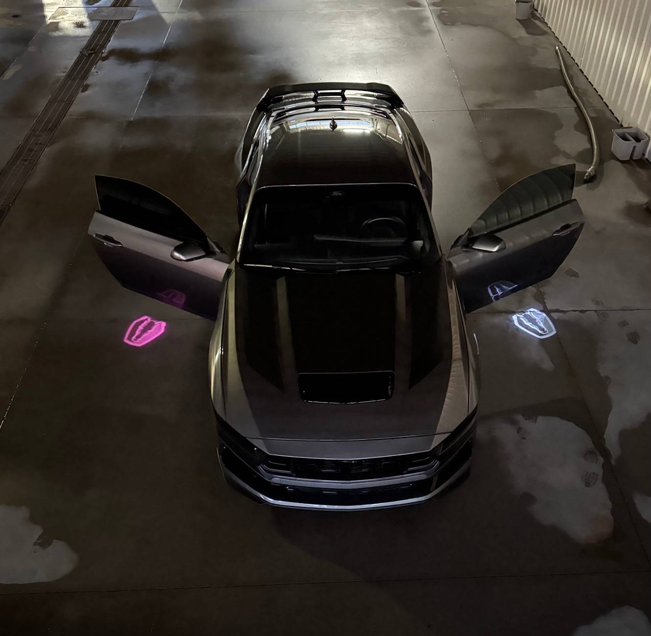 S650 Mustang Dark Horse- What did you Mod today? 8725E462-B210-420F-912D-6F02A54AFB7E