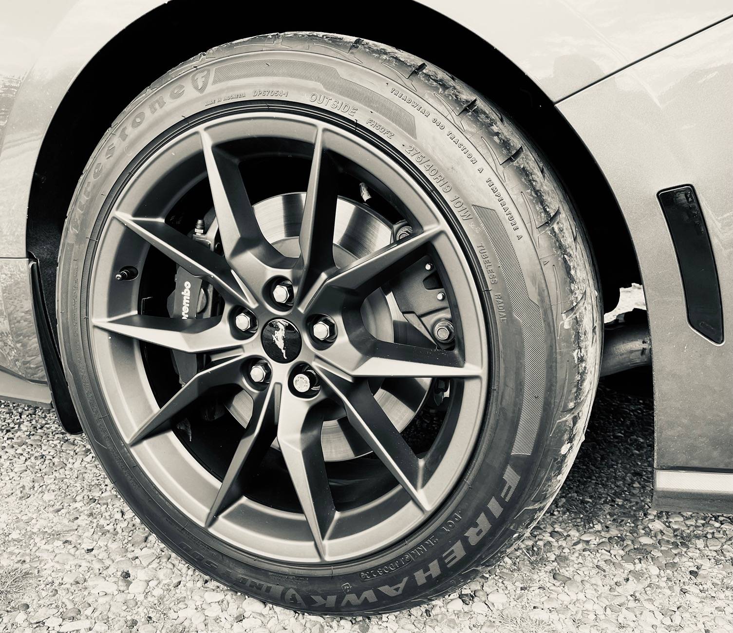 S650 Mustang *Poll* Summer Tire Brand 8BC94AEF-9ACD-4E91-B87C-D73DE6908744