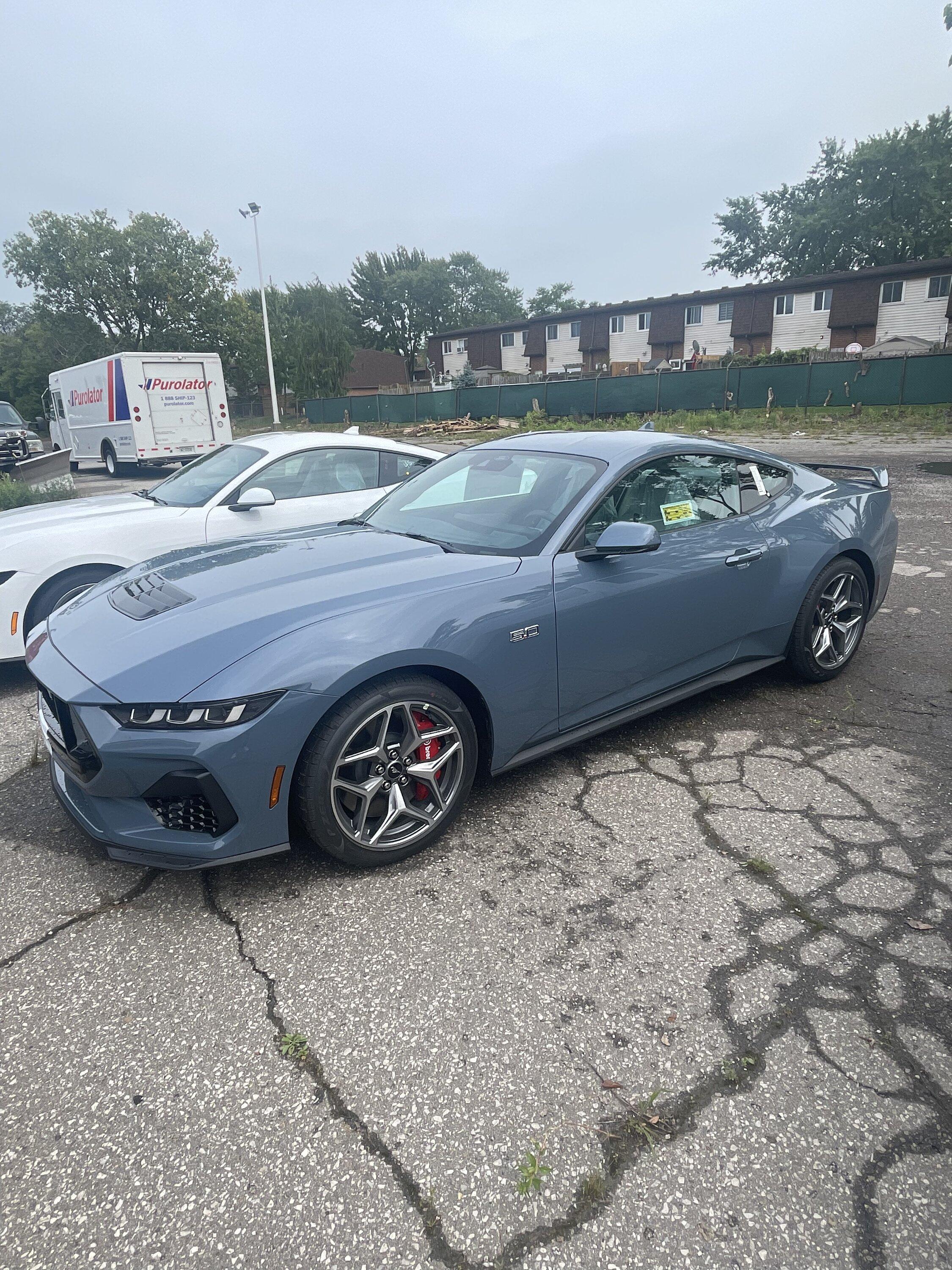 S650 Mustang First 2024 Mustang GT Canadian Order Delivered! 8CF63131-A1FE-47F6-99A9-F9C8CEC8303C