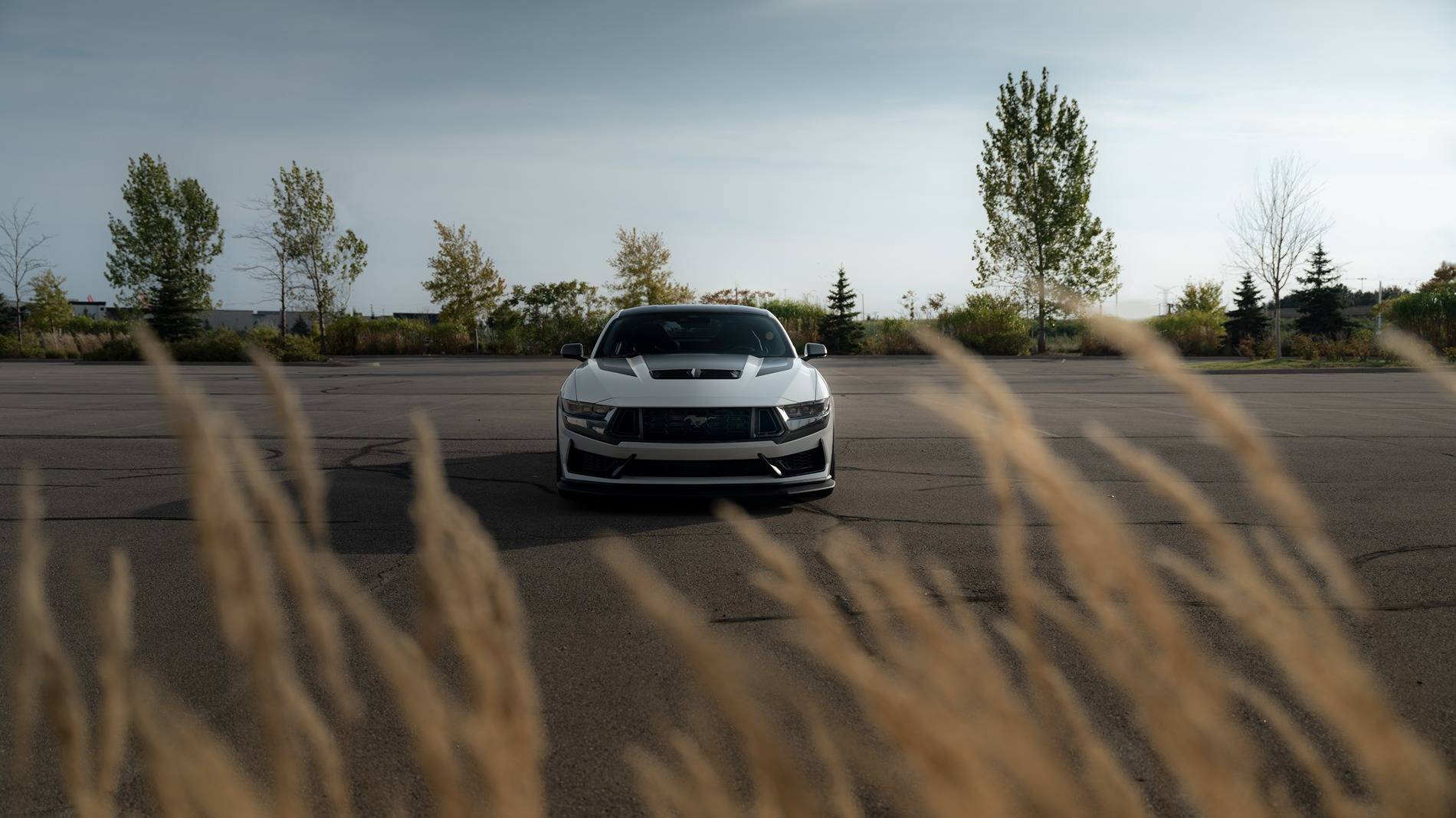 S650 Mustang Official OXFORD WHITE Mustang S650 Thread 9