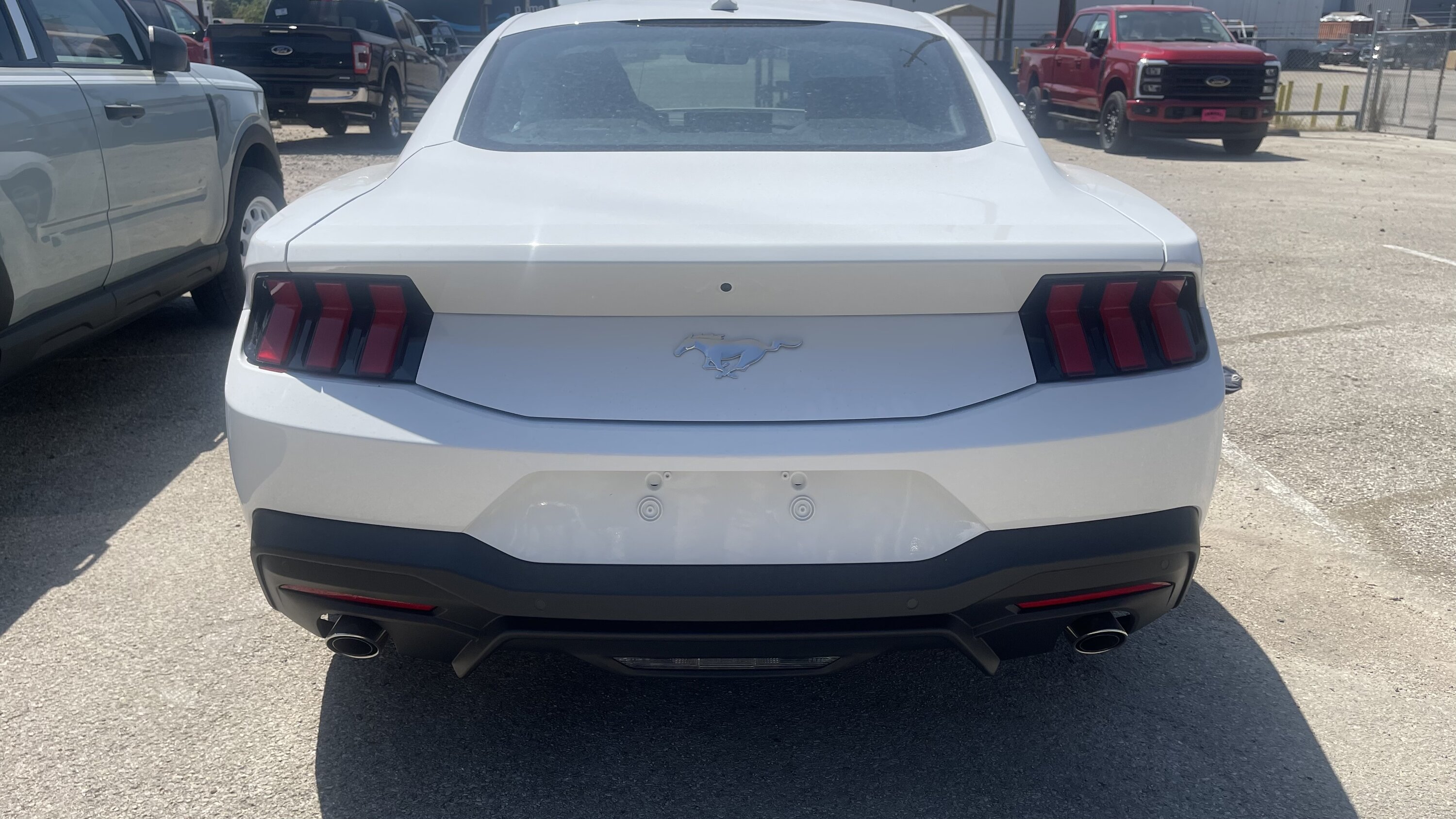 S650 Mustang S650 in Houston @ Tomball Ford 9C7004C6-FC4F-4434-A1F3-BD05B9625E4C