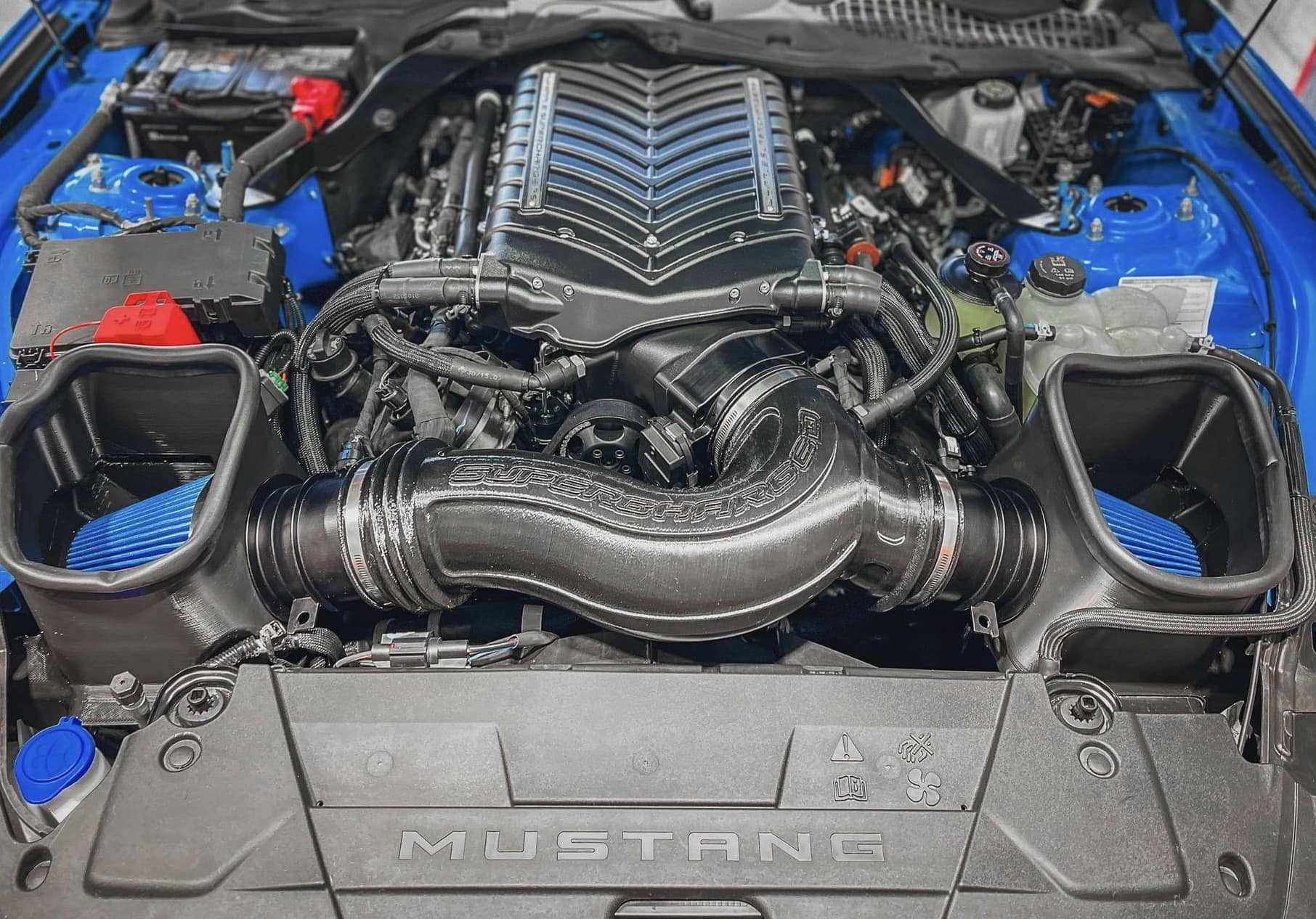 S650 Mustang 2024 S650 Mustang Whipple Supercharger first look! - Beefcake Racing! _nc_ohc=11WtIKL6t3IAX8xJbsv&_nc_ht=scontent-ord5-2
