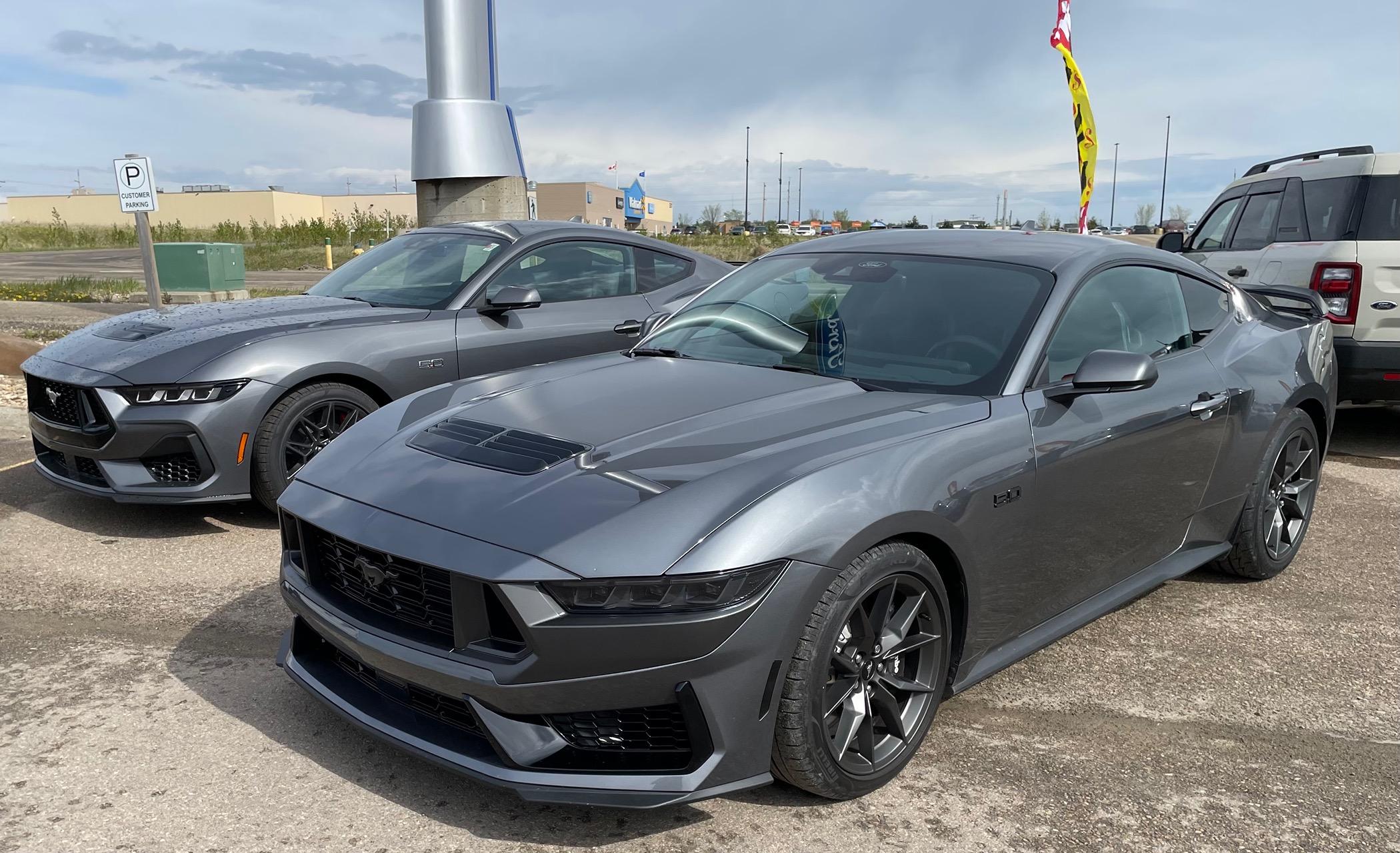 S650 Mustang Official CARBONIZED GRAY Mustang S650 Thread A89022B7-3B5F-42F1-B62E-72E7FFDCD9CA