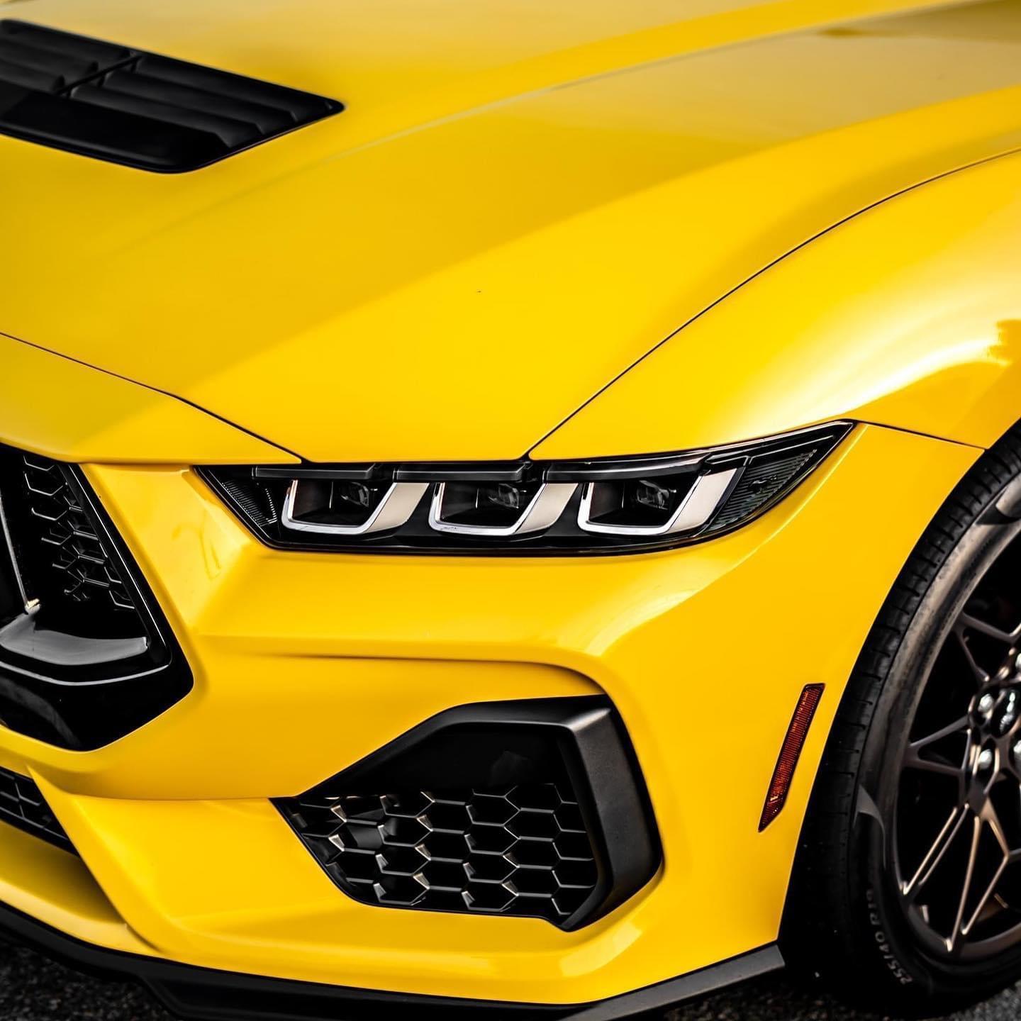 S650 Mustang Official YELLOW SPLASH Mustang S650 Thread AF00E277-F84A-414E-8A48-CB41F68A69A3