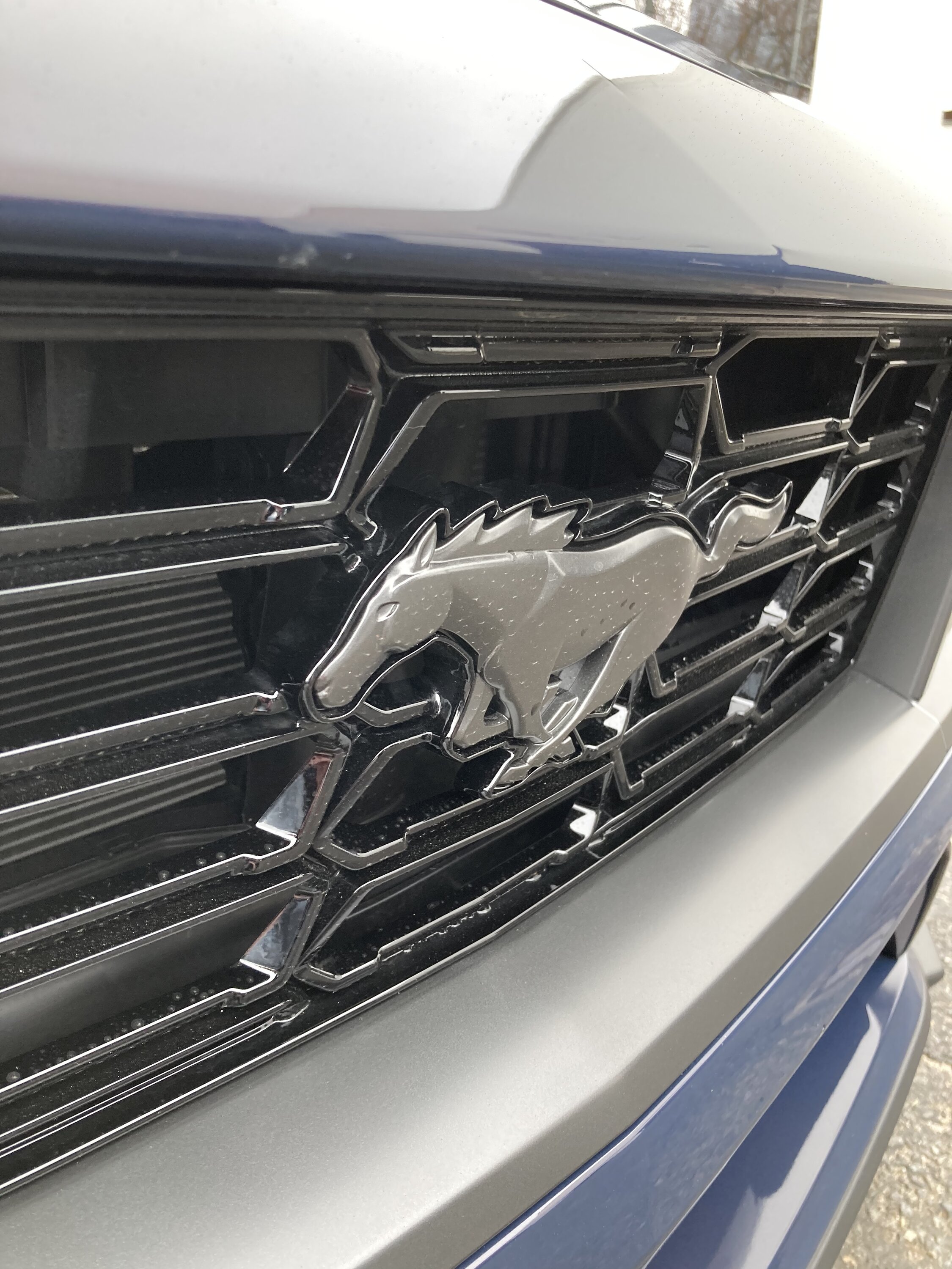 S650 Mustang Video: First Listen of Dark Horse Mustang WOT Driving on Public Roads + Blue Ember / Grabber Blue in Natural Lighting AFCD2EAD-2226-4FD0-BD12-AA221D931530