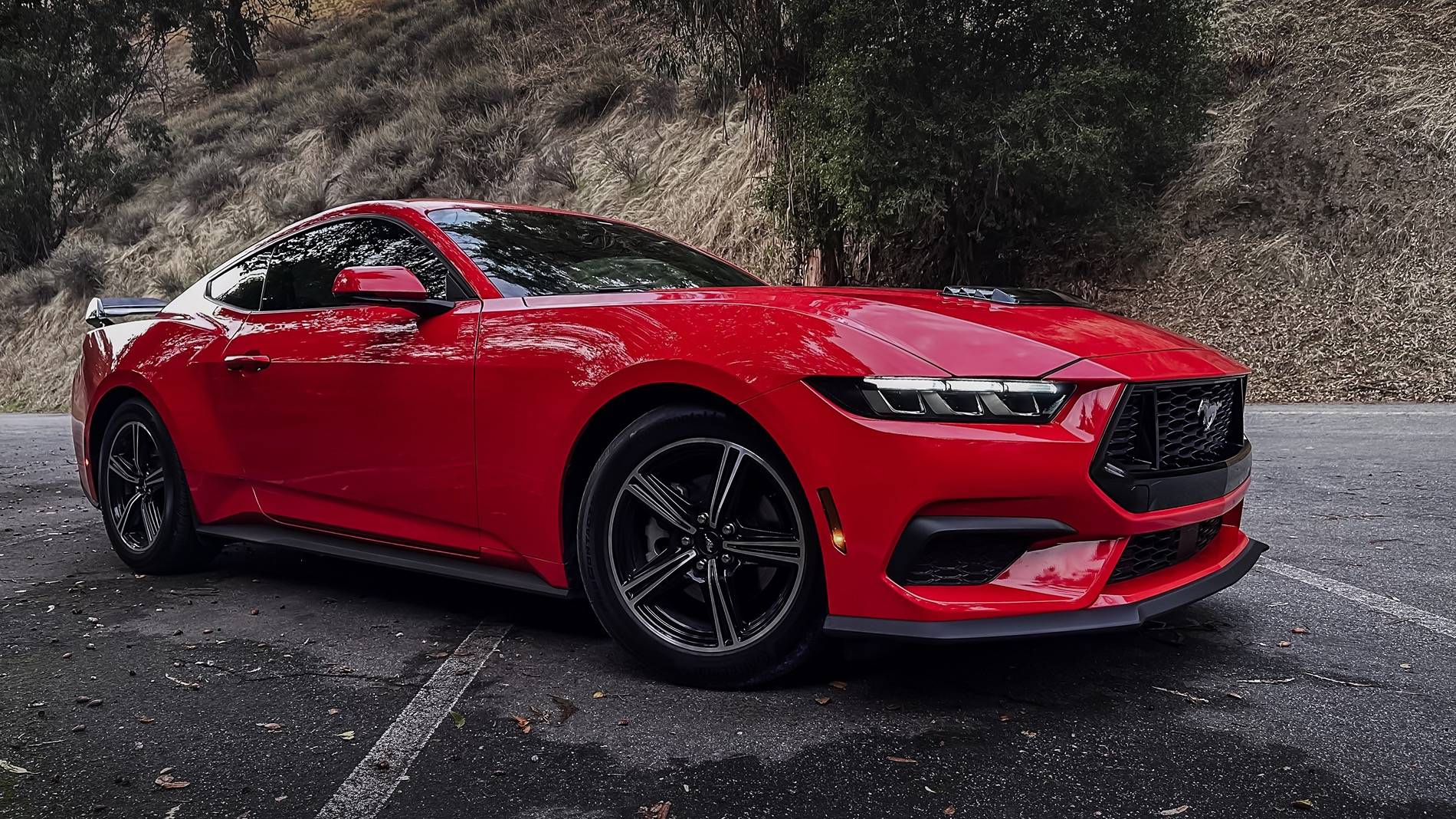 S650 Mustang Free Christmas Giveaway by Screen Protech B491037C-5CDE-4D15-86F2-2D4BB22D58BF