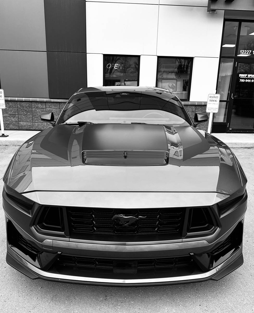 S650 Mustang Cool Daily Random S650 Mustang Pics -- Post Yours! 📸 BCEDE151-4E8C-4C7C-82BE-55B942A9B93A