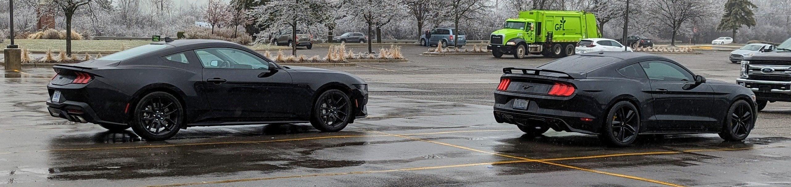 S650 Mustang S650 vs S550 real life side by side comparison look (rear view) black comparison