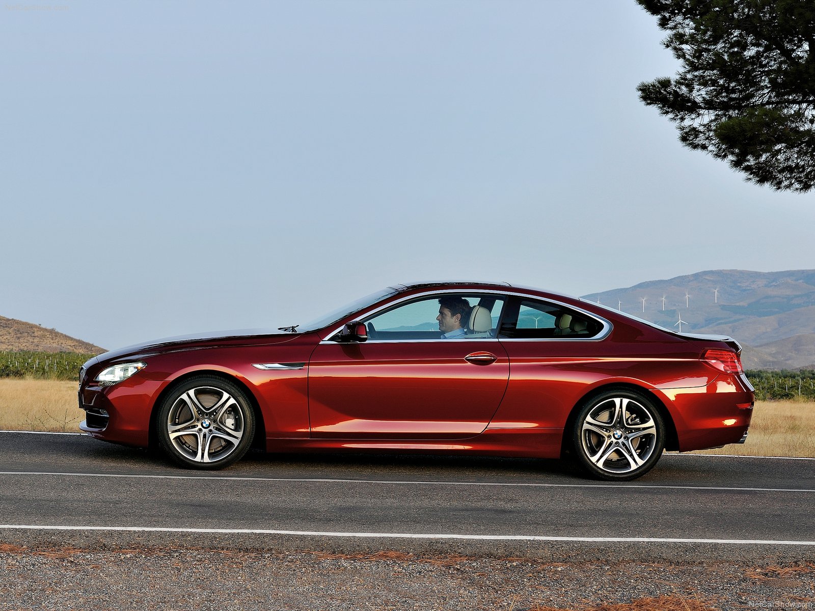 BMW-6-Series_Coupe-2012-1600-27.jpg