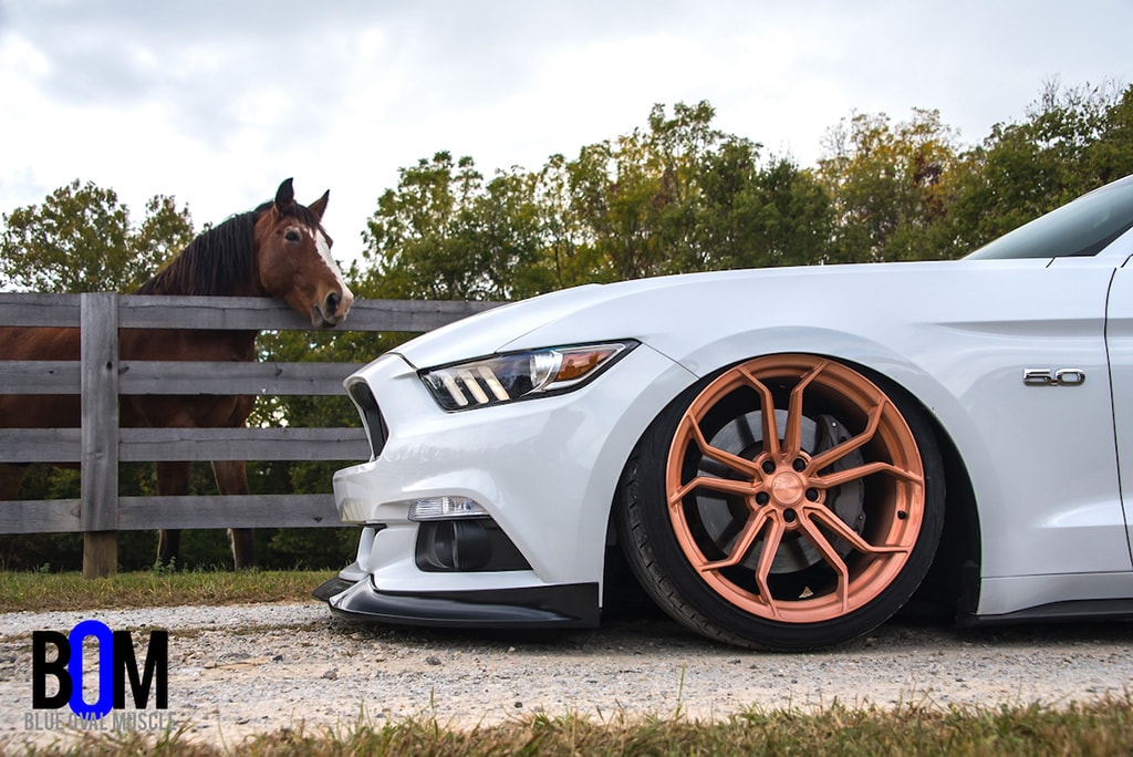S650 Mustang Authorized Dealer Avant Garde Wheels: AG Art and Classic Series Wheels For Mustang S650 BOMBarnhart-ford-mustang-gt-procharged-avant-garde-agwheels-m632-brushed-candy-copper-9
