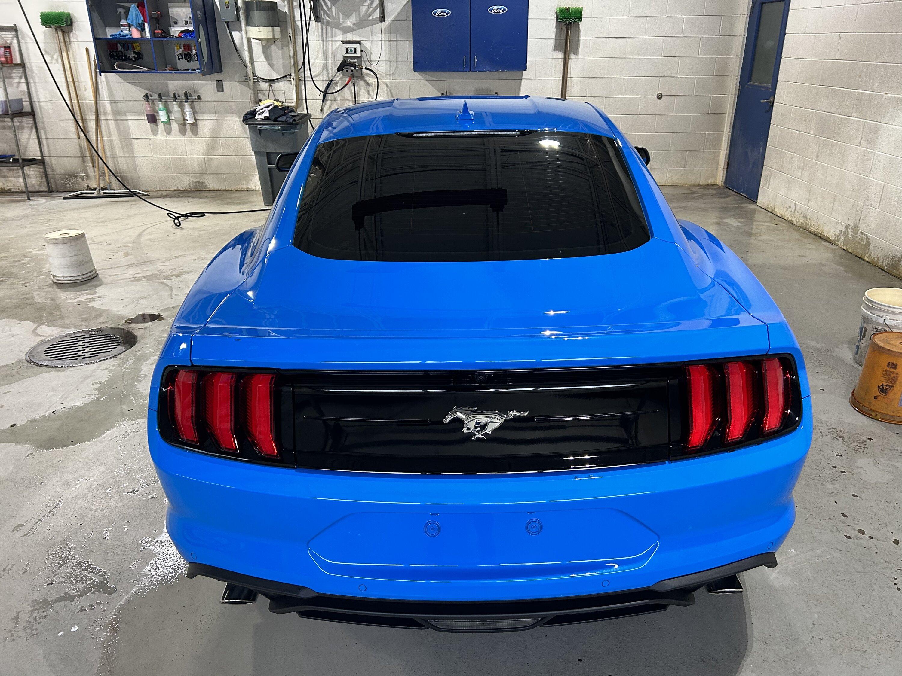 S650 Mustang S650 Mustang vs S550 Mustang side-by-side comparison pics thread C490096D-7AED-4091-AB54-CE100DCCD299