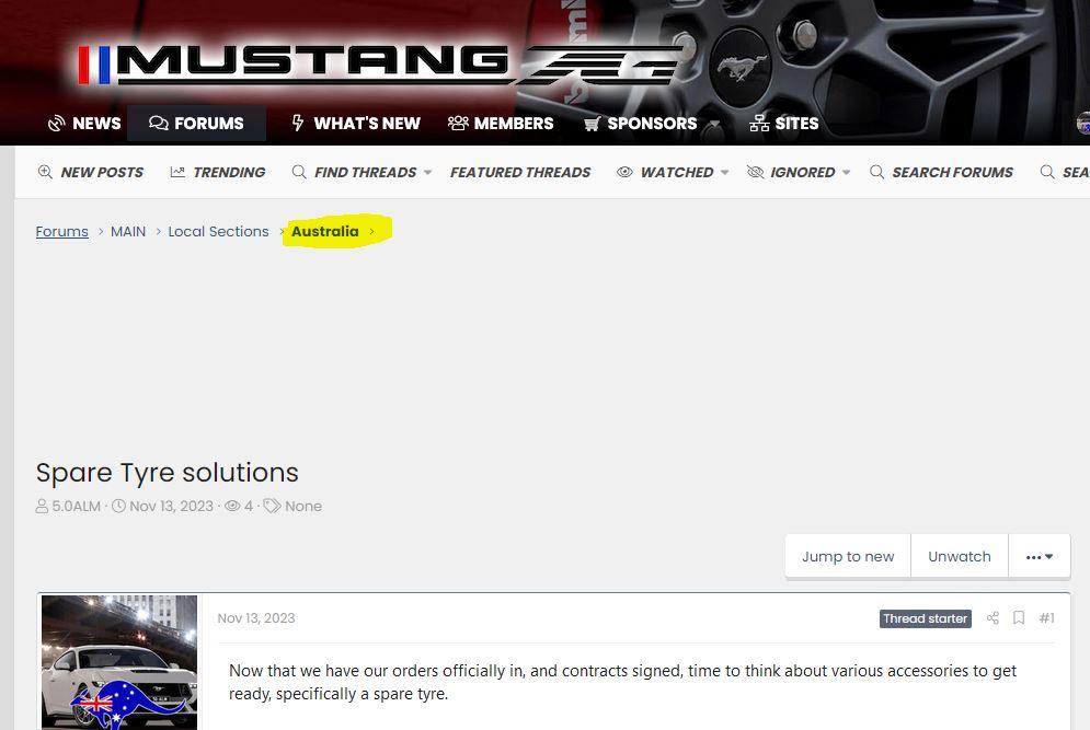 S650 Mustang Spare Tyre solutions Capture.JPG