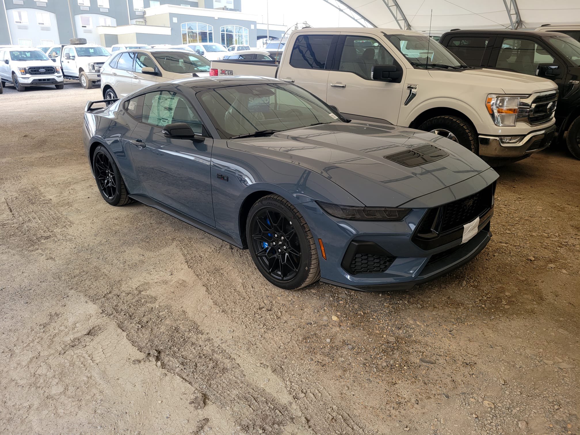 S650 Mustang Finally Delivered Today (Pics) car