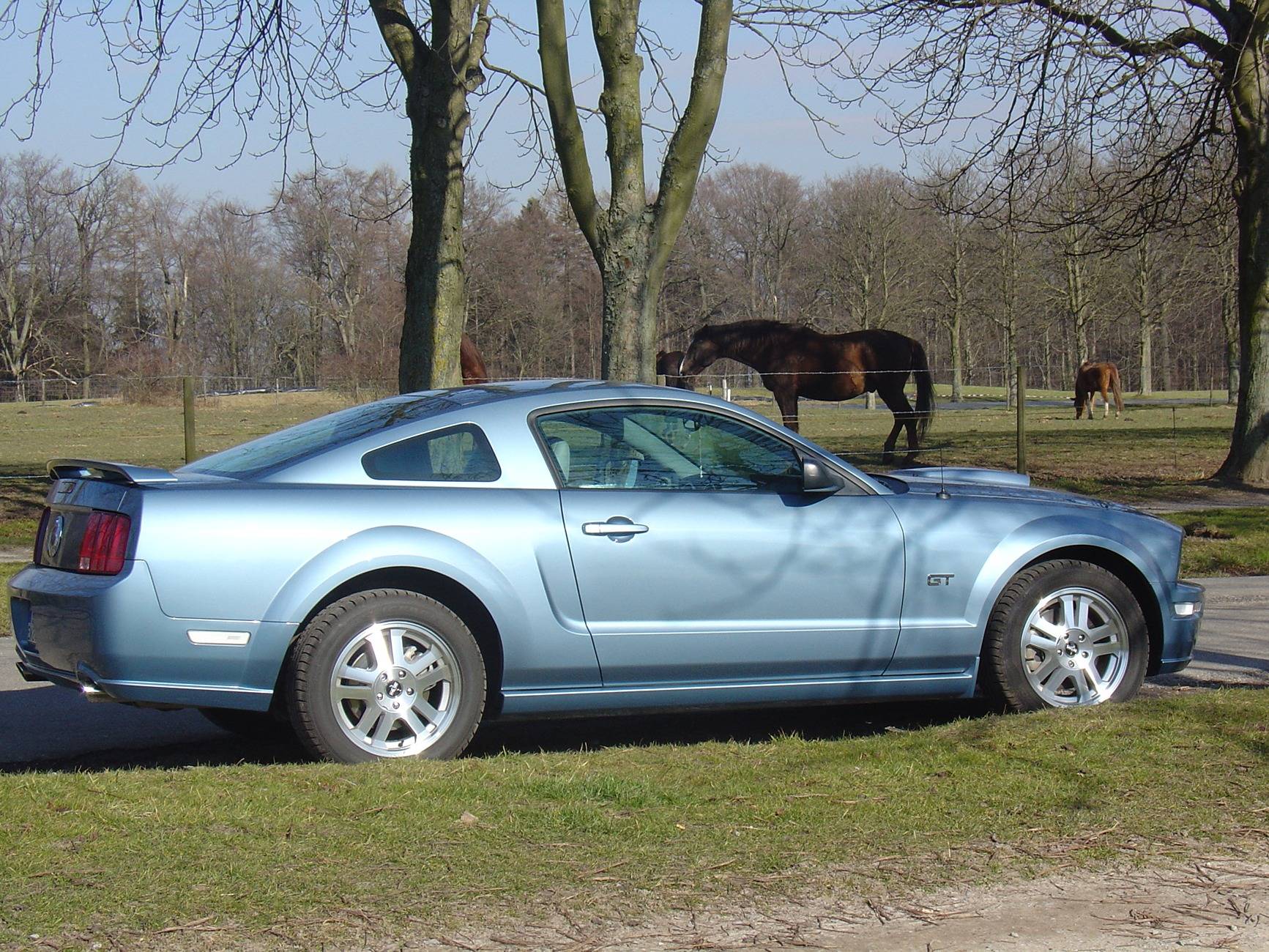 S650 Mustang How many Mustangs have owned? car.JPG