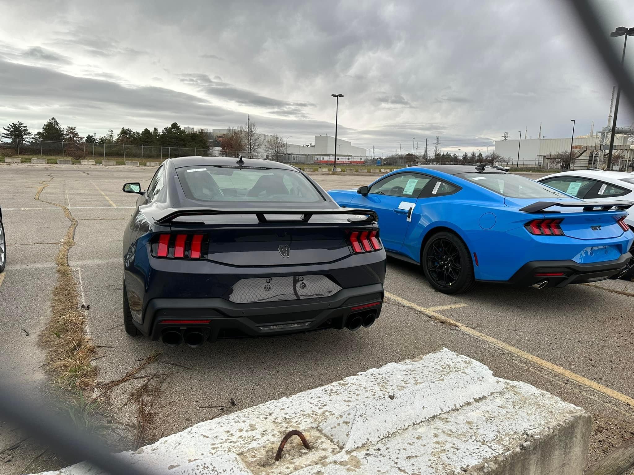 S650 Mustang Official SHADOW BLACK Mustang S650 Thread CC5CFDB4-93D9-4769-878D-40C8C71B791A