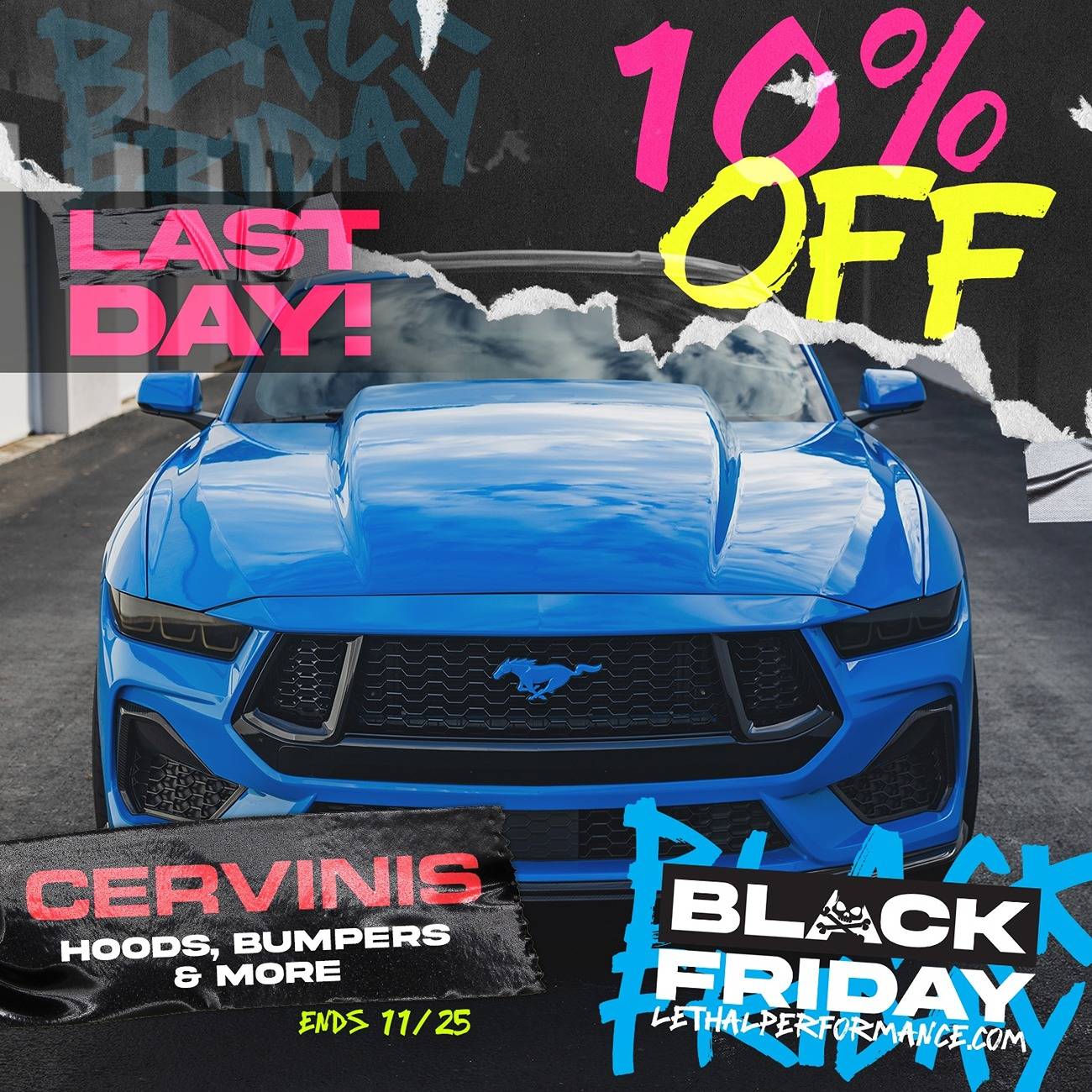 cervini s650 last day bf 2024.jpg