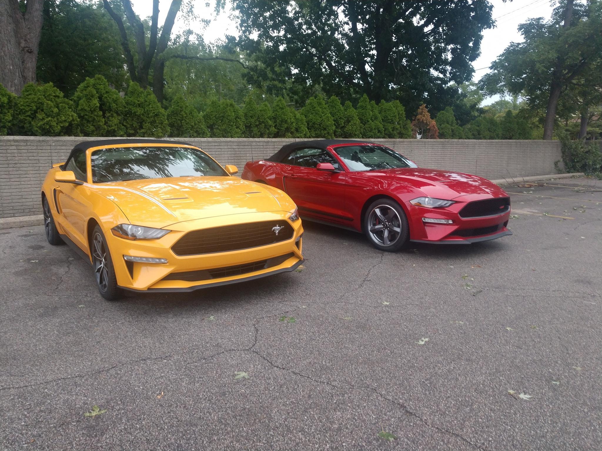 S650 Mustang Tri-bar logo Coastal