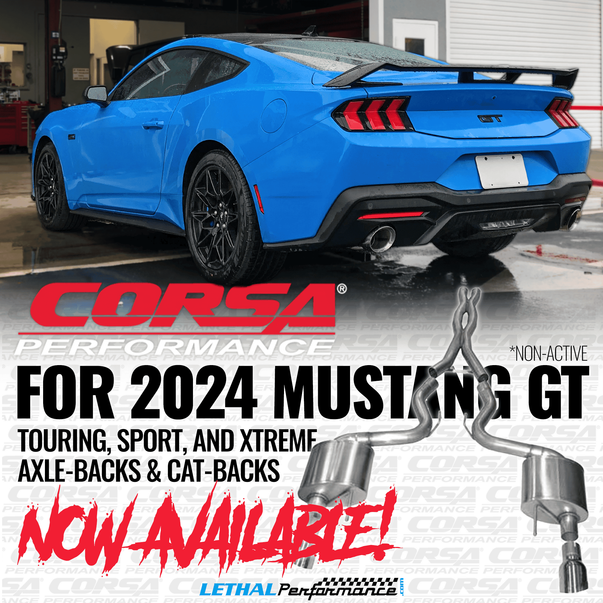 corsa 2024 .png